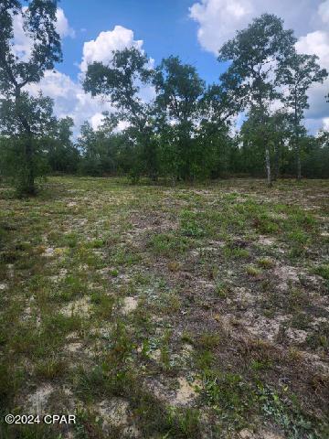 Image 5 For Lot 6 Buckhorn Boulevard