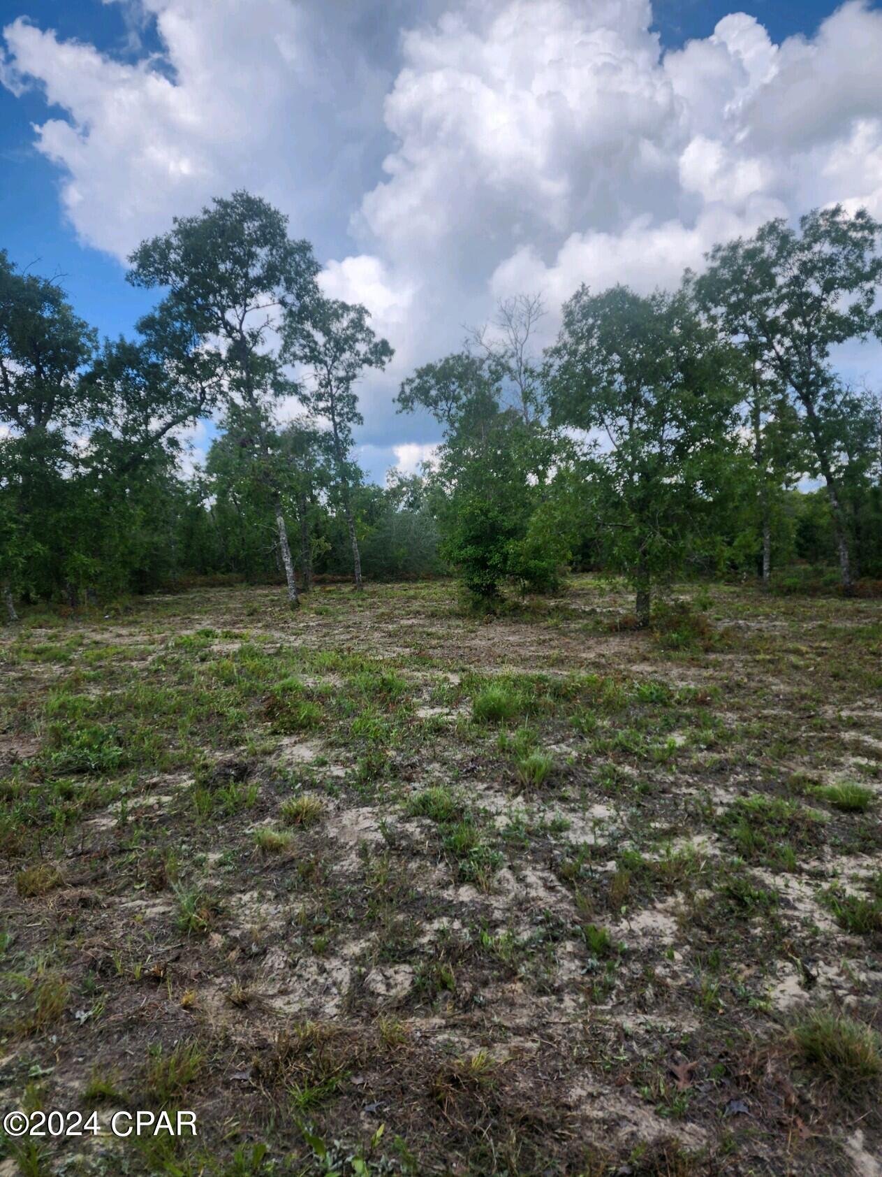 Image 6 For Lot 6 Buckhorn Boulevard