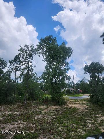 Image 7 For Lot 6 Buckhorn Boulevard