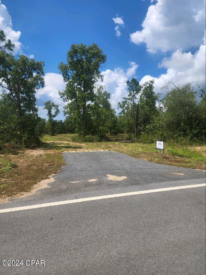 Image 8 For Lot 6 Buckhorn Boulevard