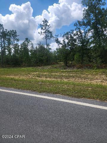 Image 9 For Lot 6 Buckhorn Boulevard