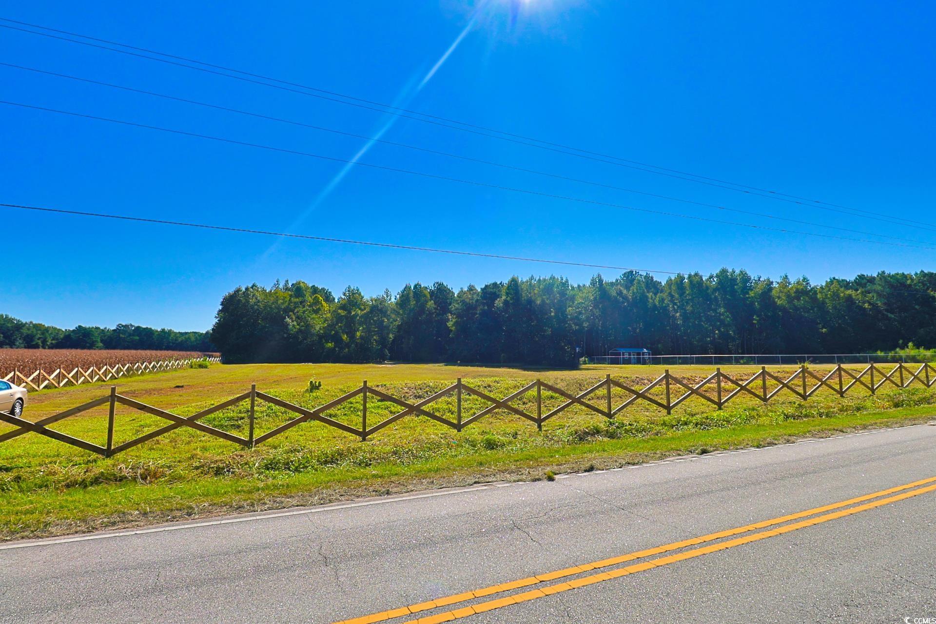 TBD Spring Branch Rd. Nichols, SC 29581