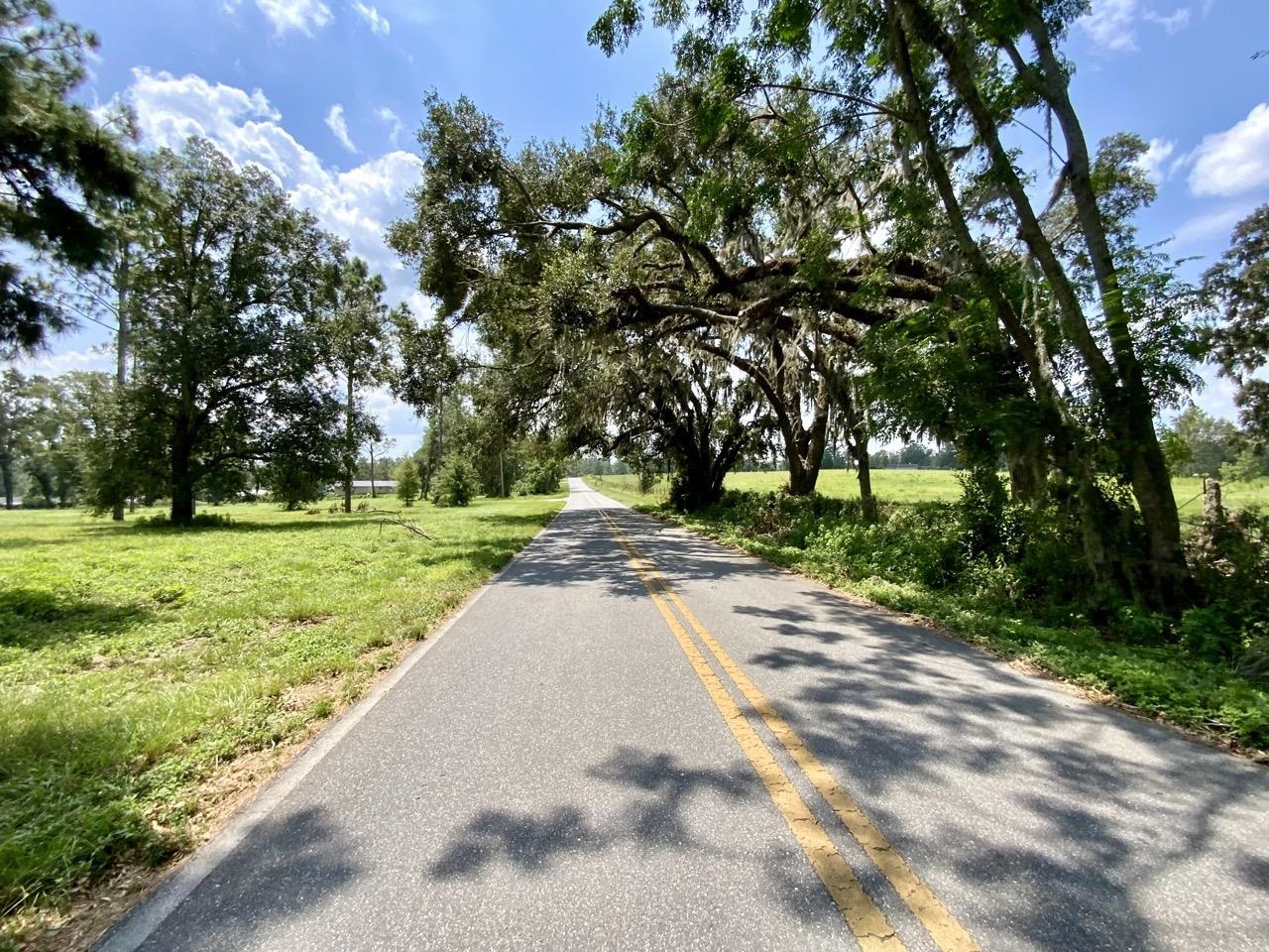 0000 NW Pickle Lane, Madison, Florida image 15