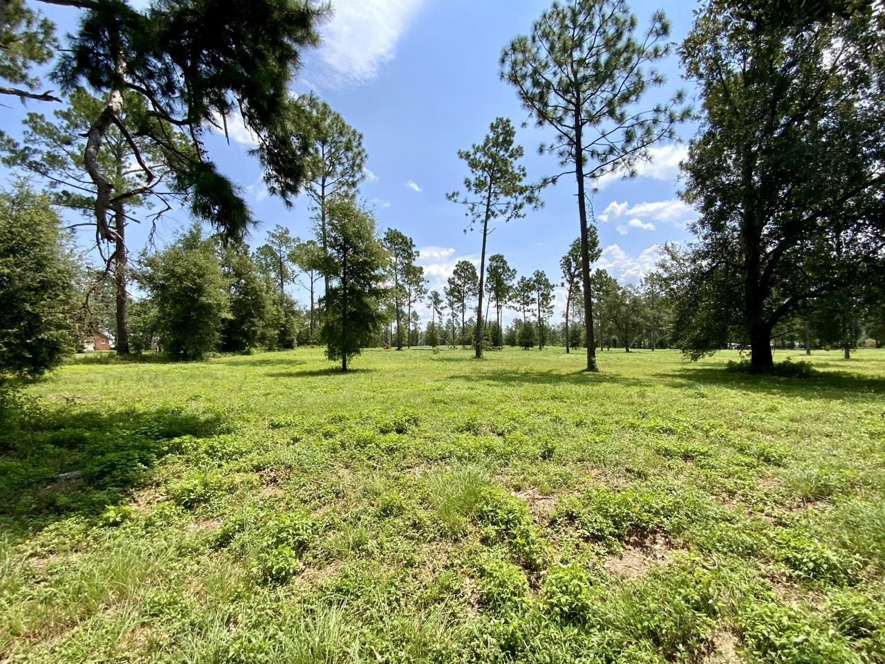0000 NW Pickle Lane, Madison, Florida image 16