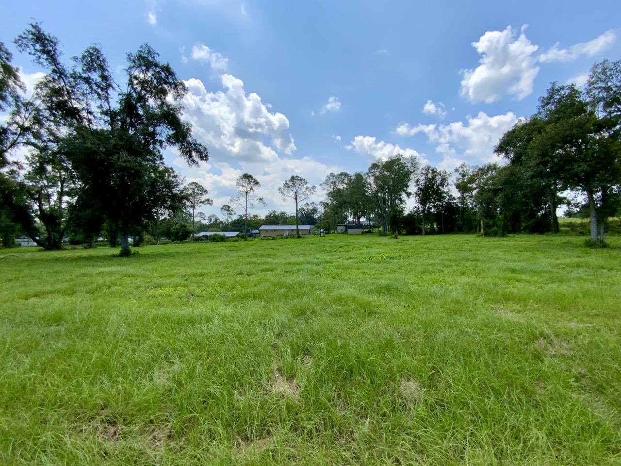 0000 NW Pickle Lane, Madison, Florida image 22