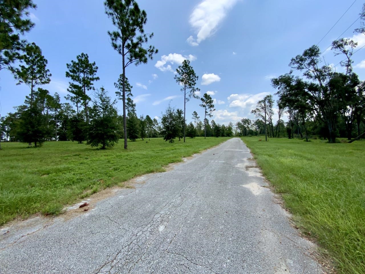 0000 NW Pickle Lane, Madison, Florida image 26
