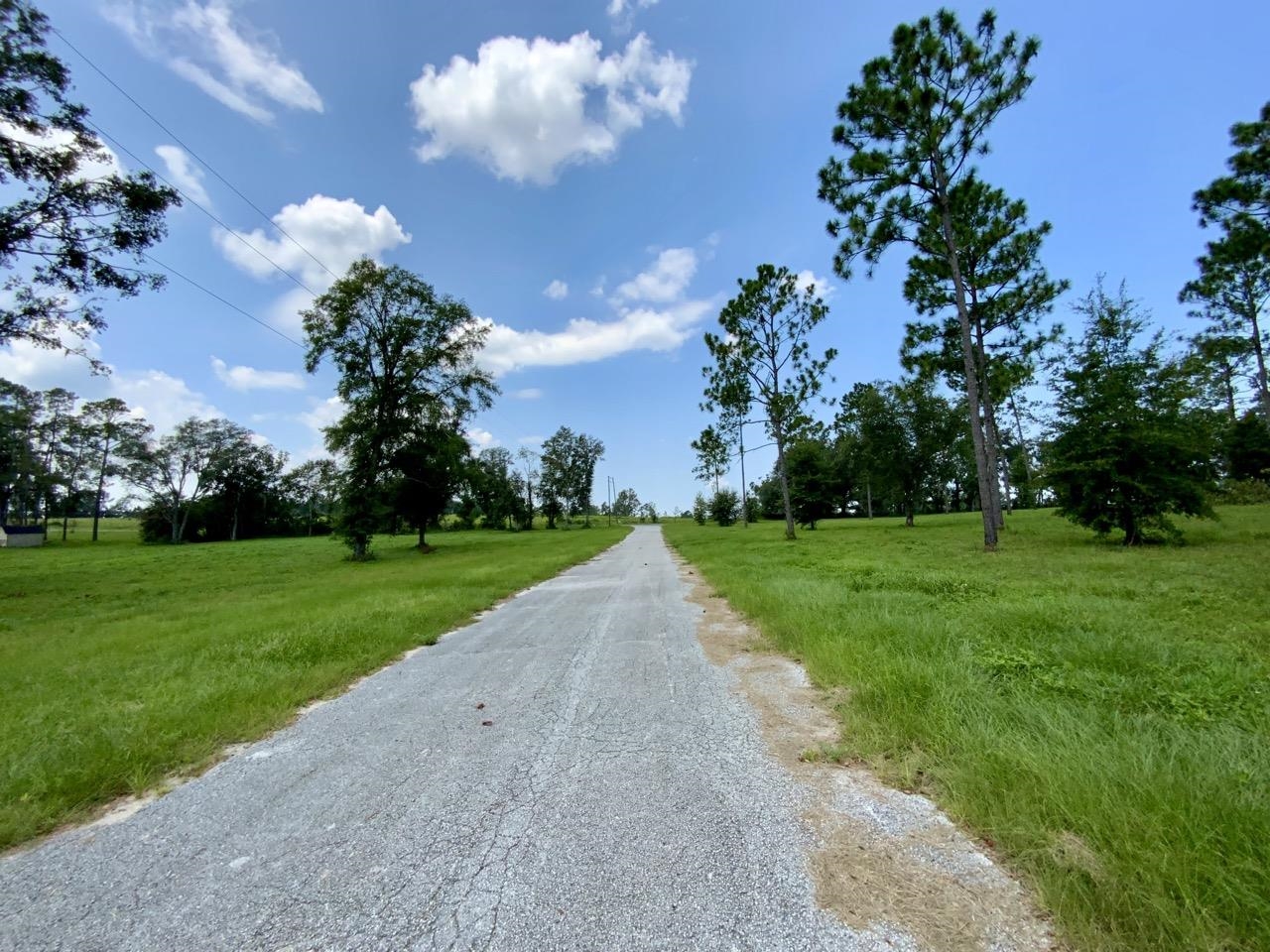 0000 NW Pickle Lane, Madison, Florida image 28