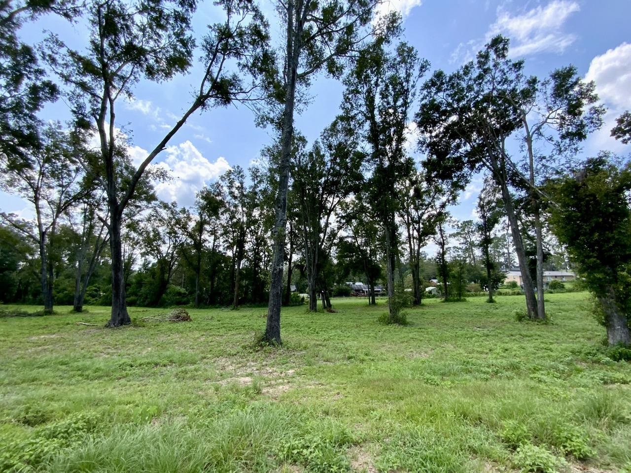 0000 NW Pickle Lane, Madison, Florida image 29
