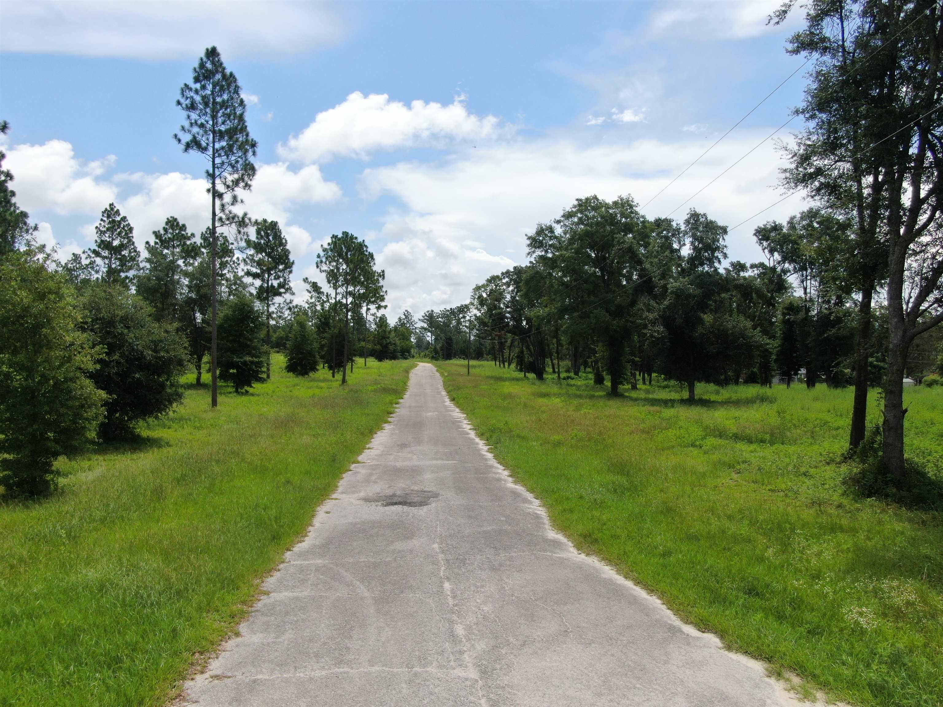 0000 NW Pickle Lane, Madison, Florida image 3