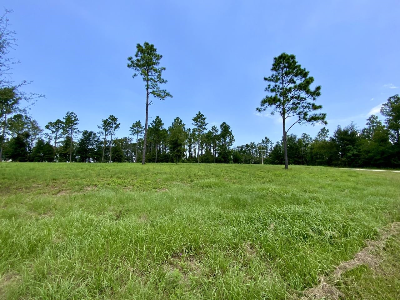 0000 NW Pickle Lane, Madison, Florida image 32