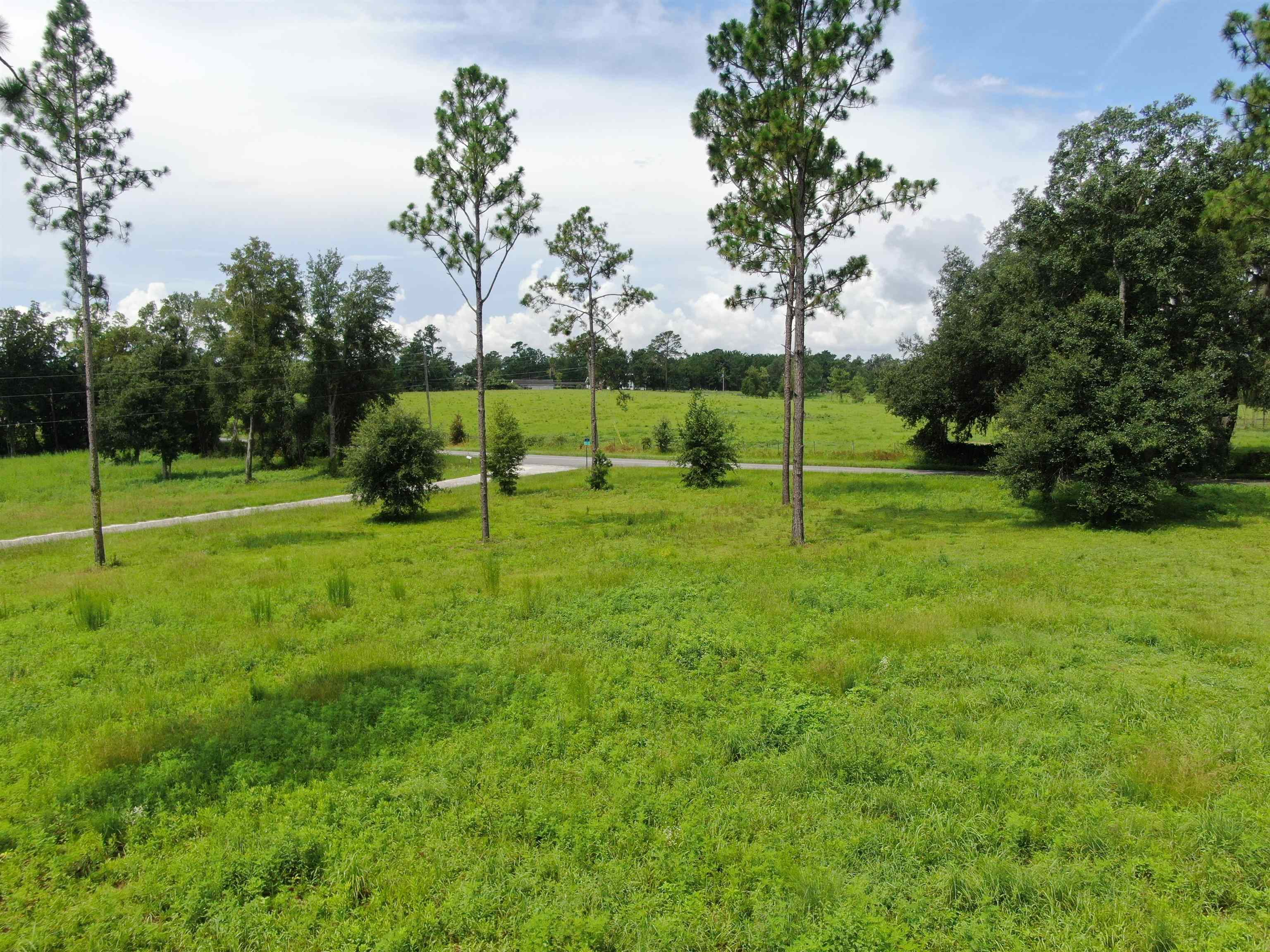0000 NW Pickle Lane, Madison, Florida image 6