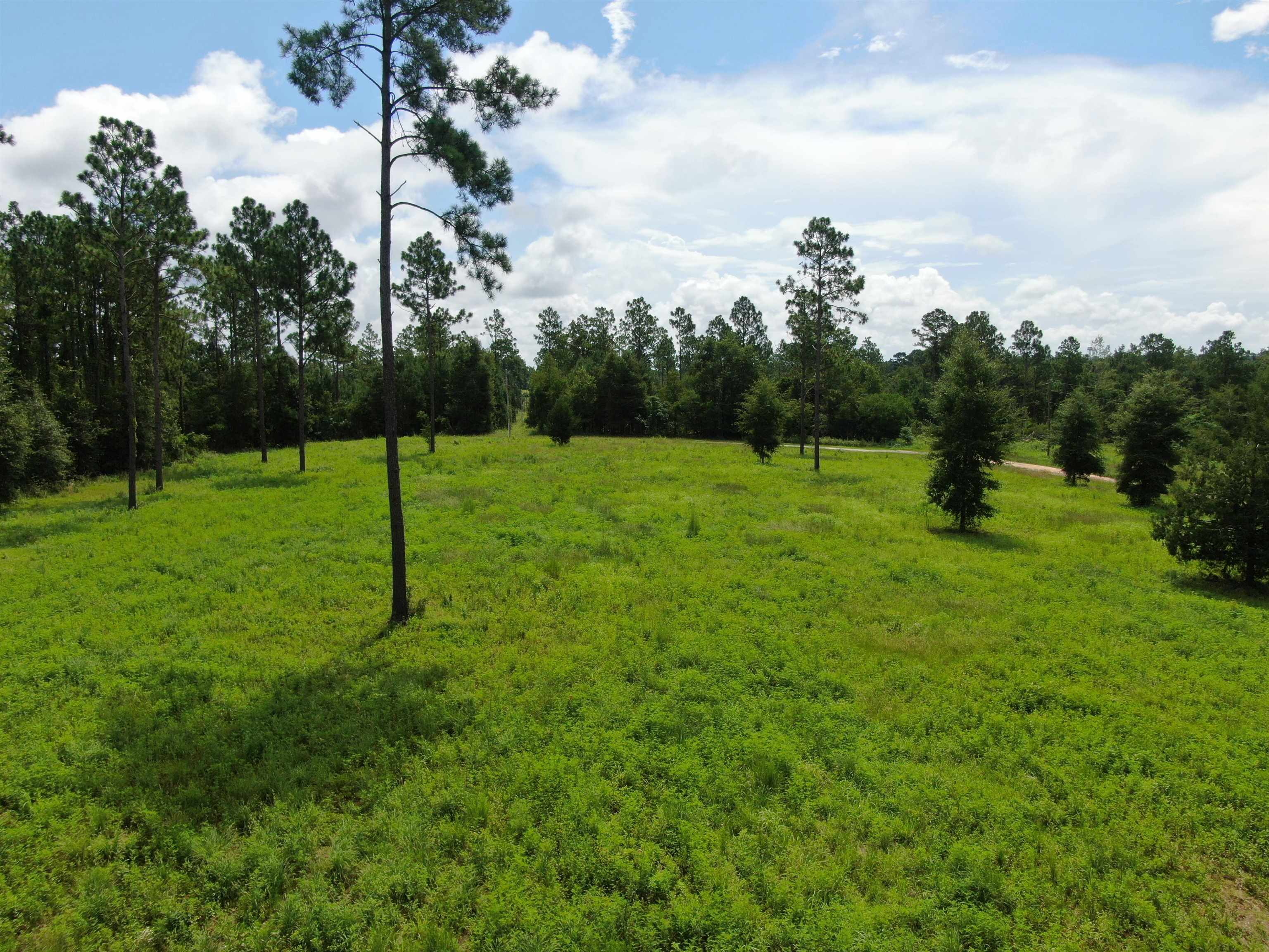 0000 NW Pickle Lane, Madison, Florida image 7