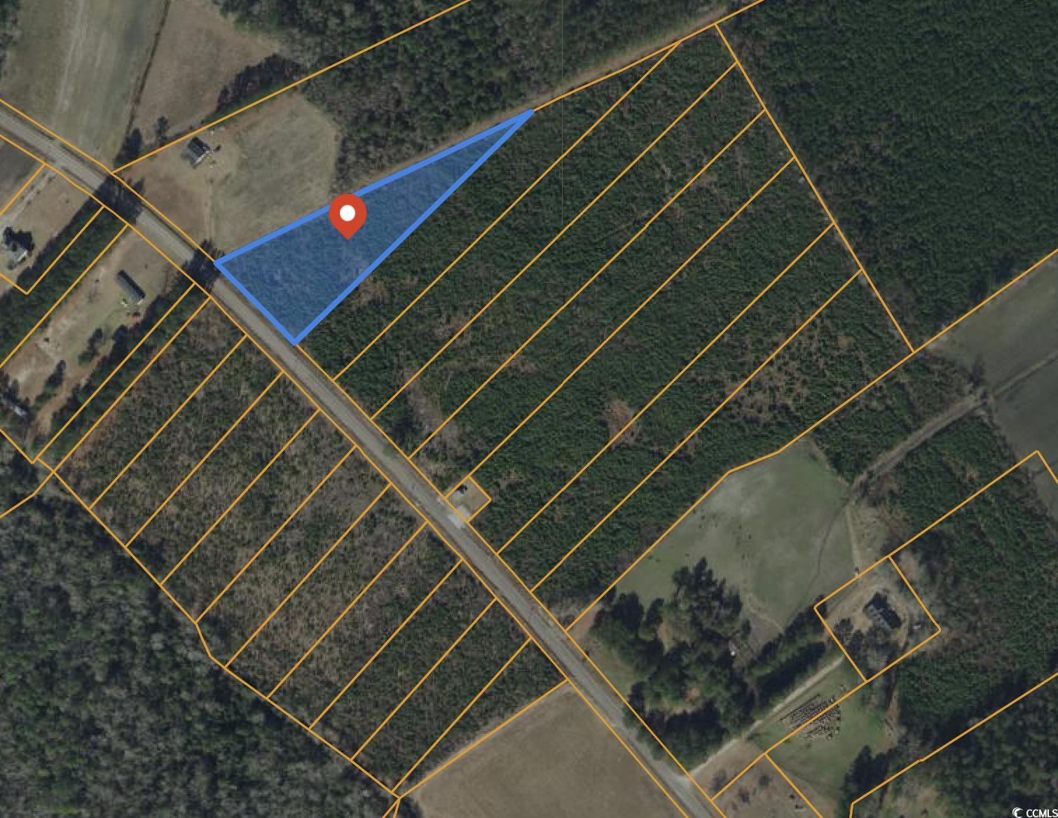 Lot B1 Black Creek Rd. Nichols, SC 29581