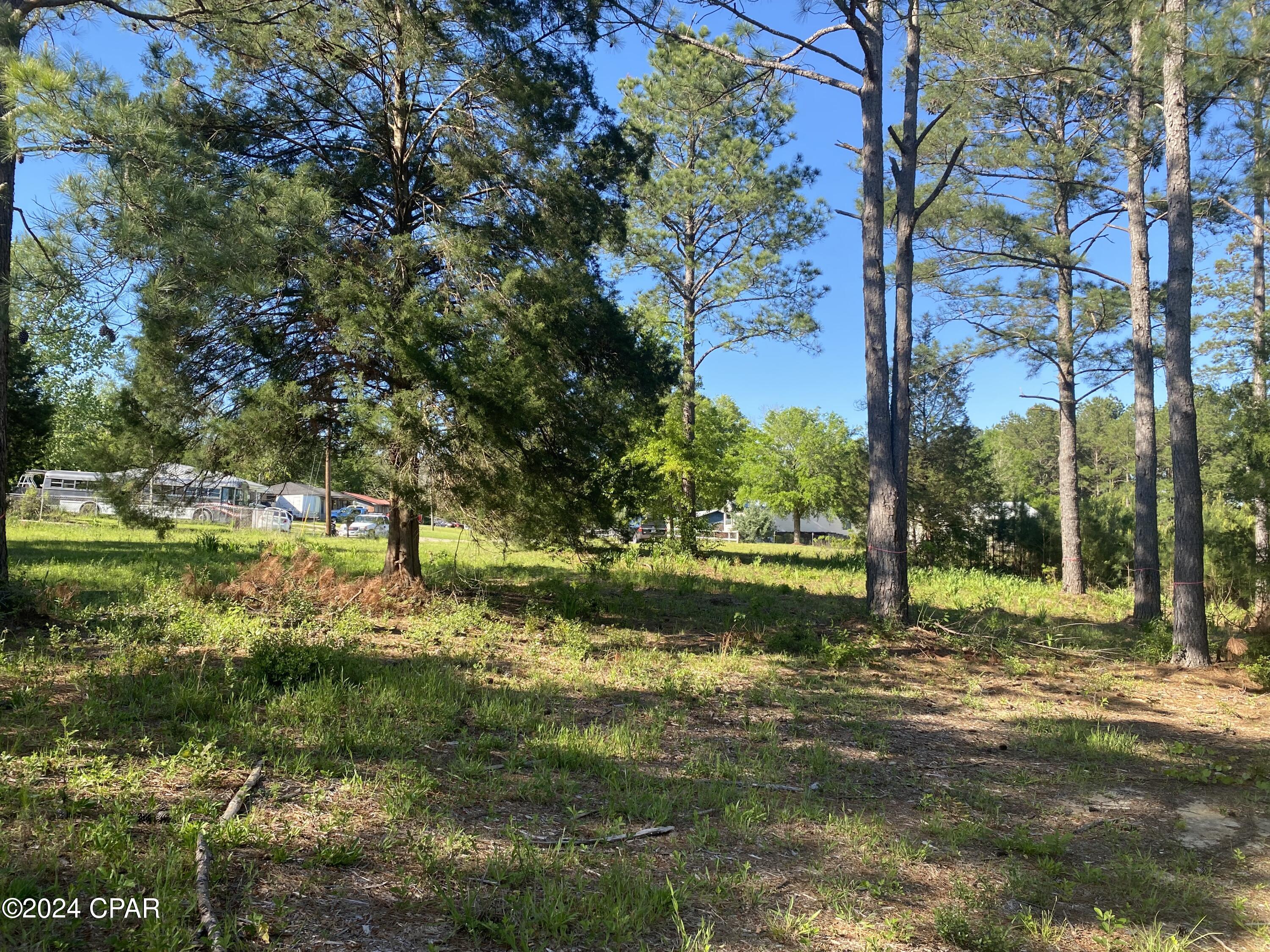 Image 12 For 2341 Sweetgum Drive