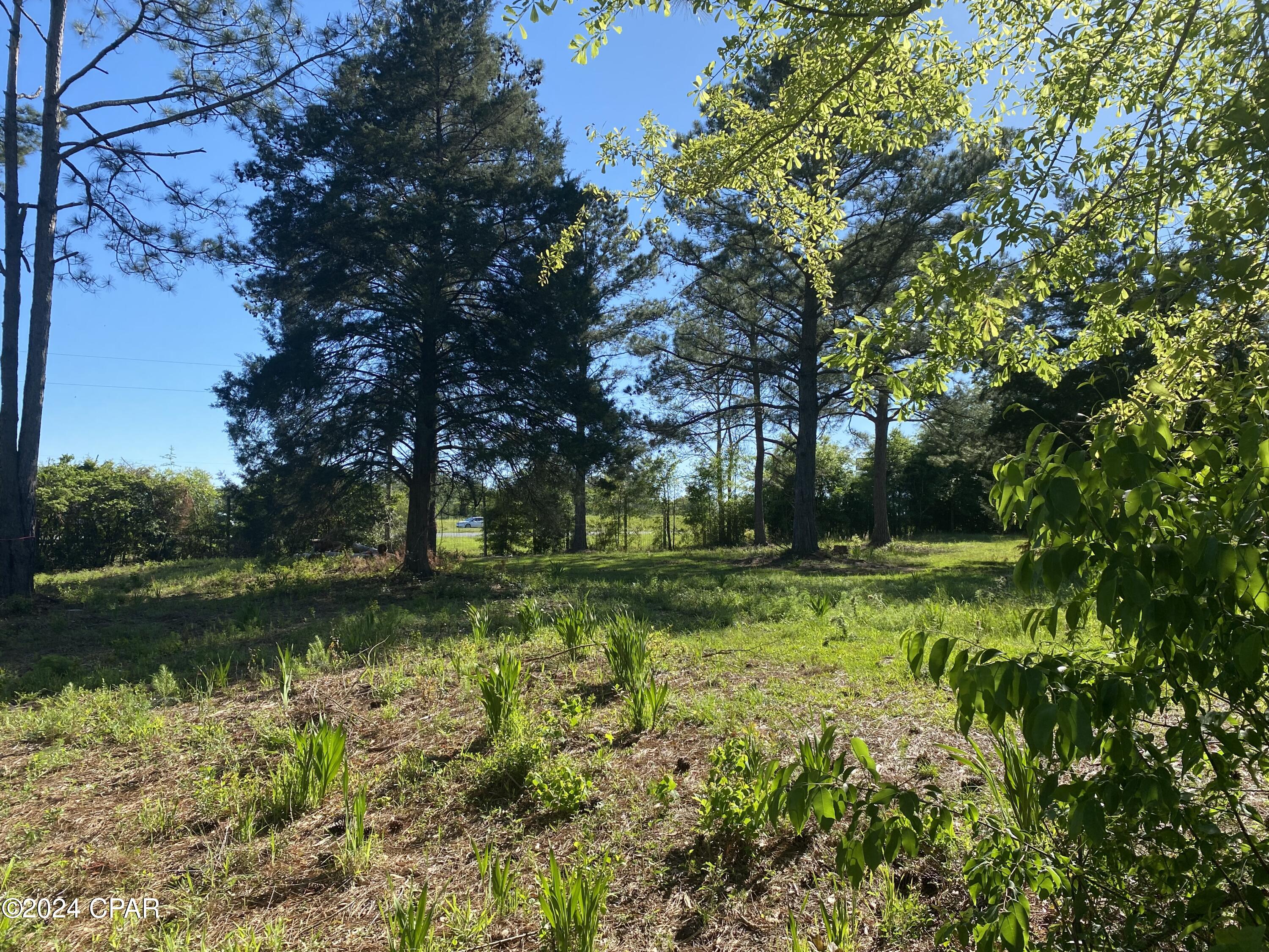 Image 15 For 2338 Sweetgum Drive