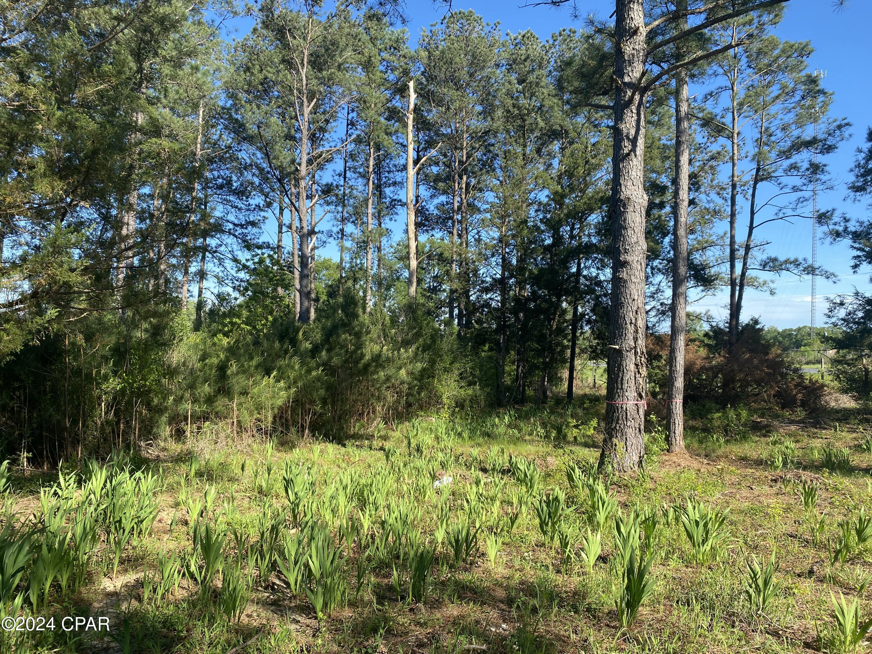 Image 5 For 2338 Sweetgum Drive