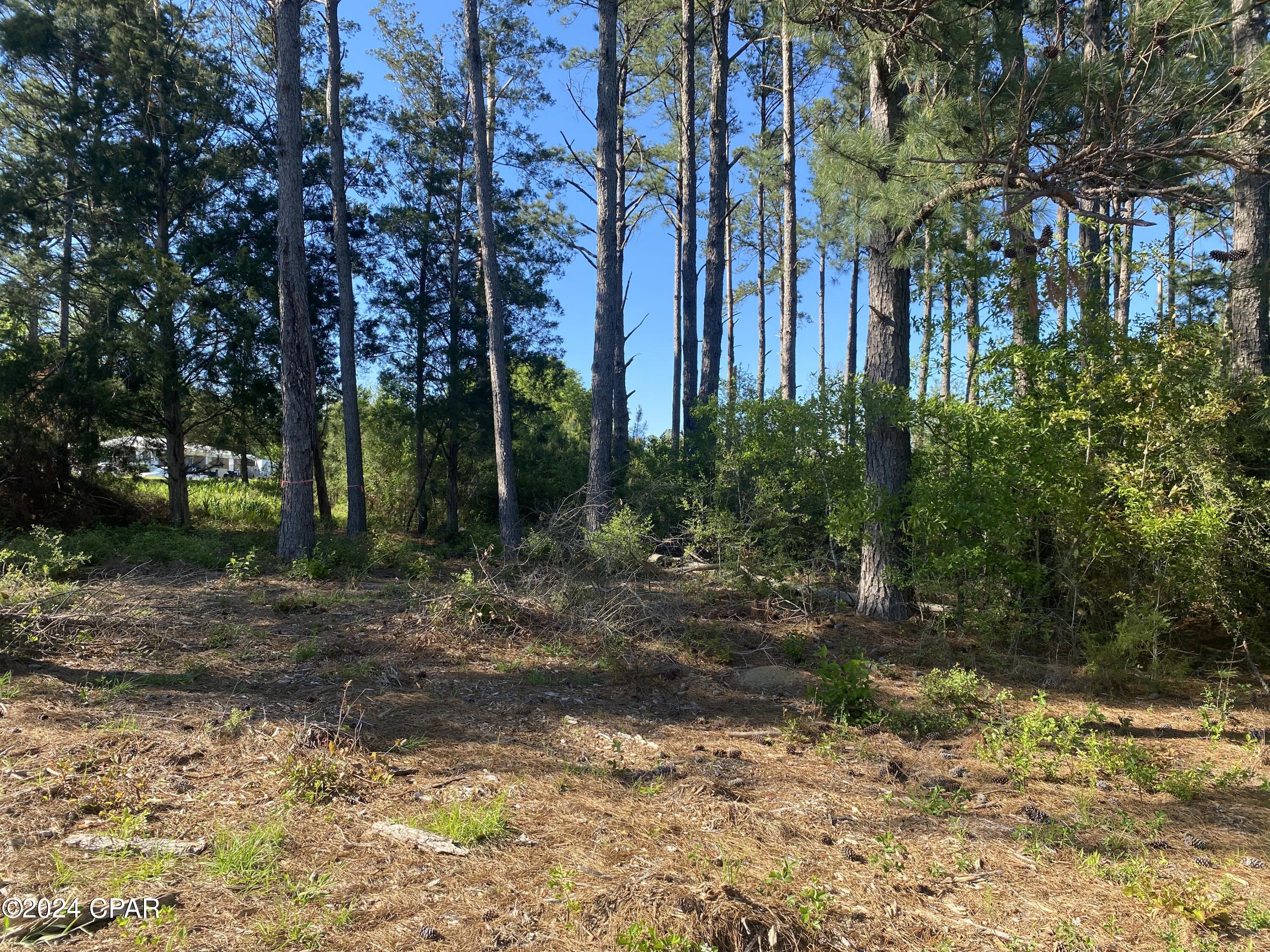 Image 9 For 2338 Sweetgum Drive