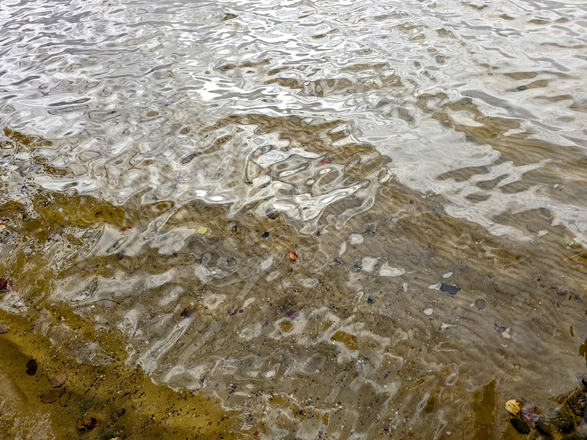 Picture 10 - Lower Buckatabon Lake Property 209468