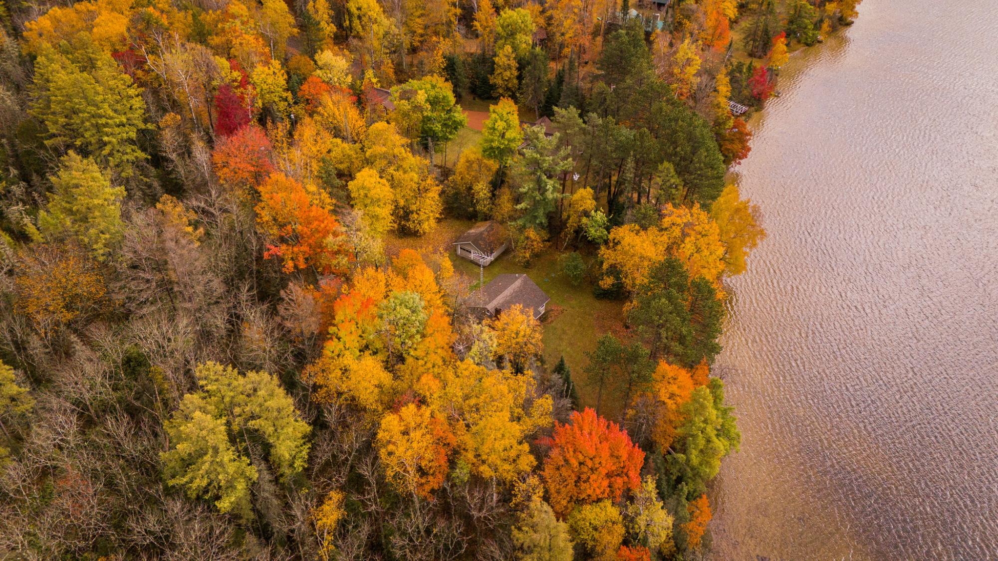 Picture 3 - Lower Buckatabon Lake Property 209468