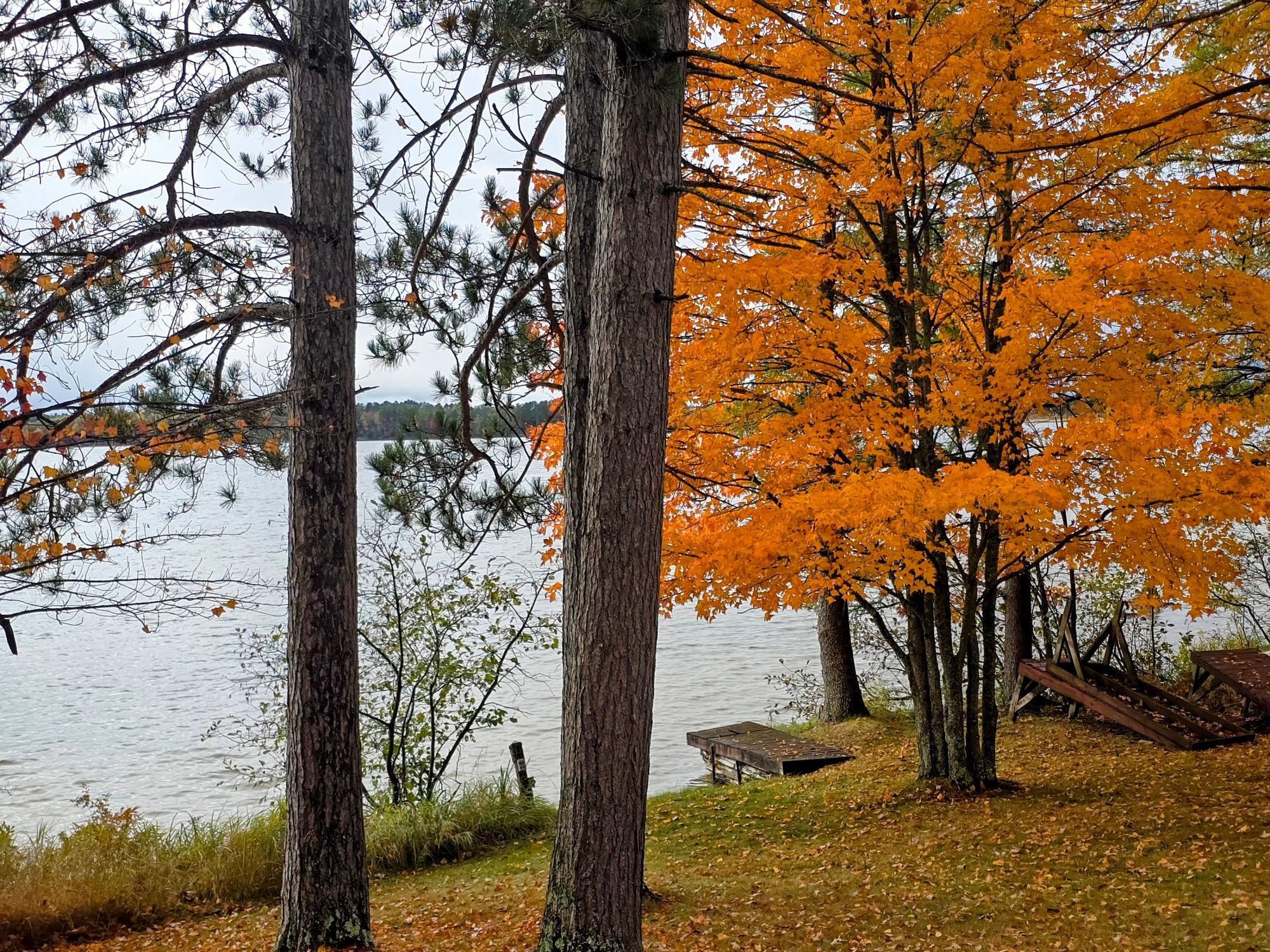 Picture 20 - Lower Buckatabon Lake Property 209468