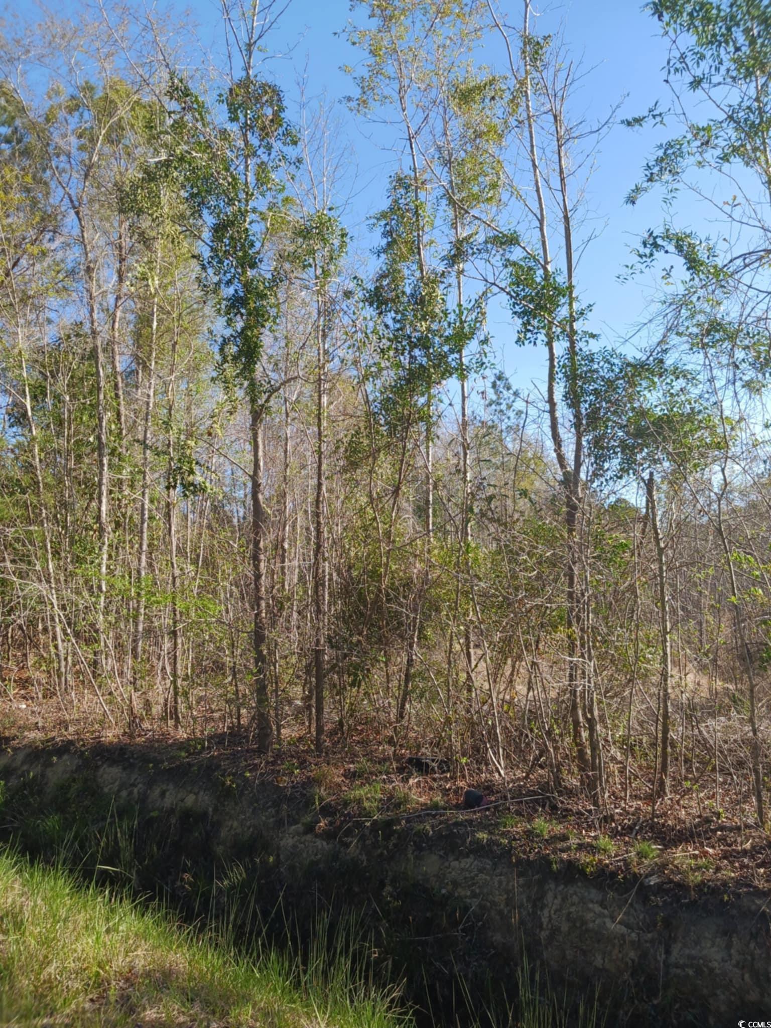 TBD Fowler School Rd. Green Sea, SC 29545