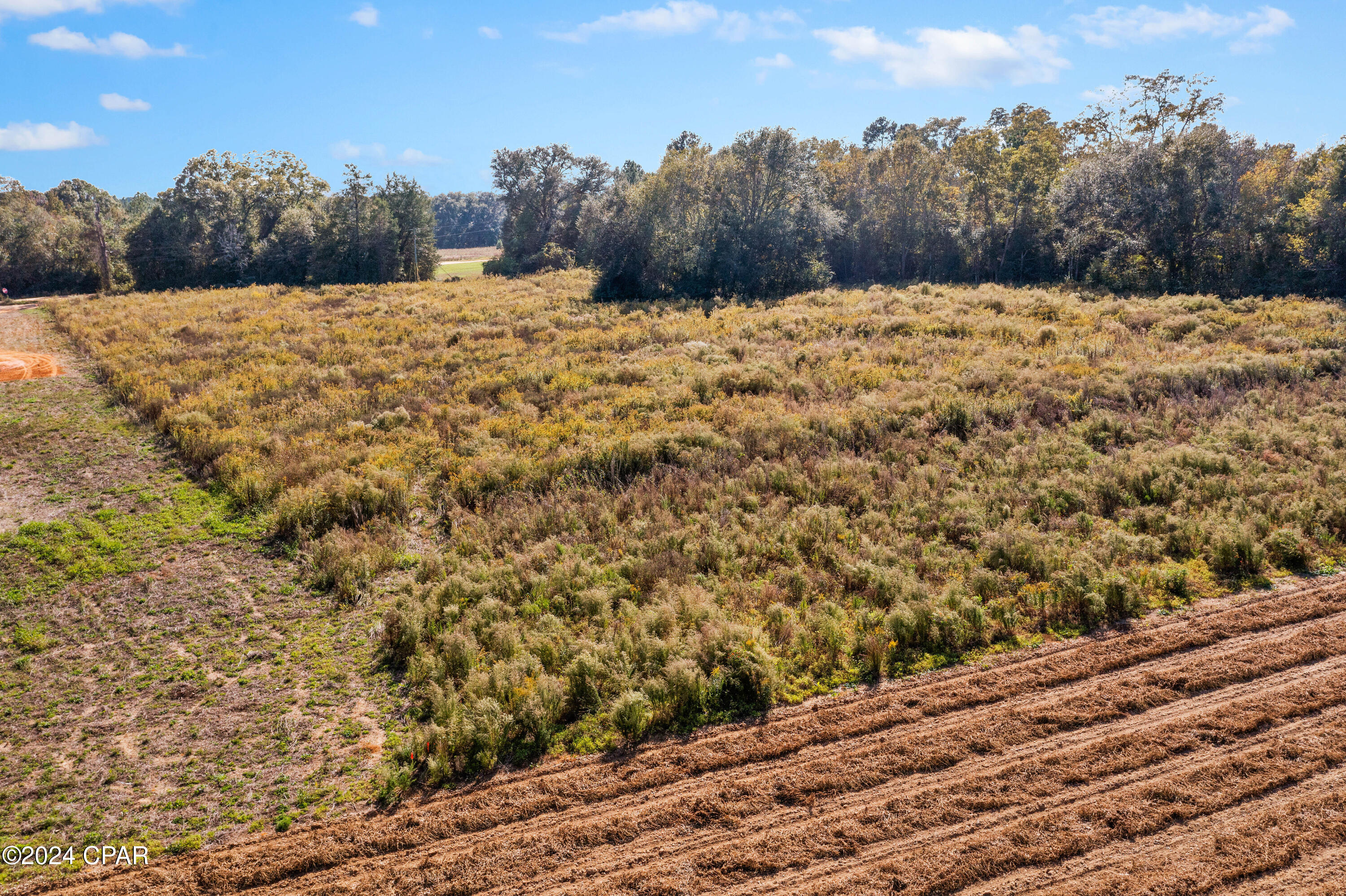 Lot 13 Creek Road, Bonifay, Florida image 14