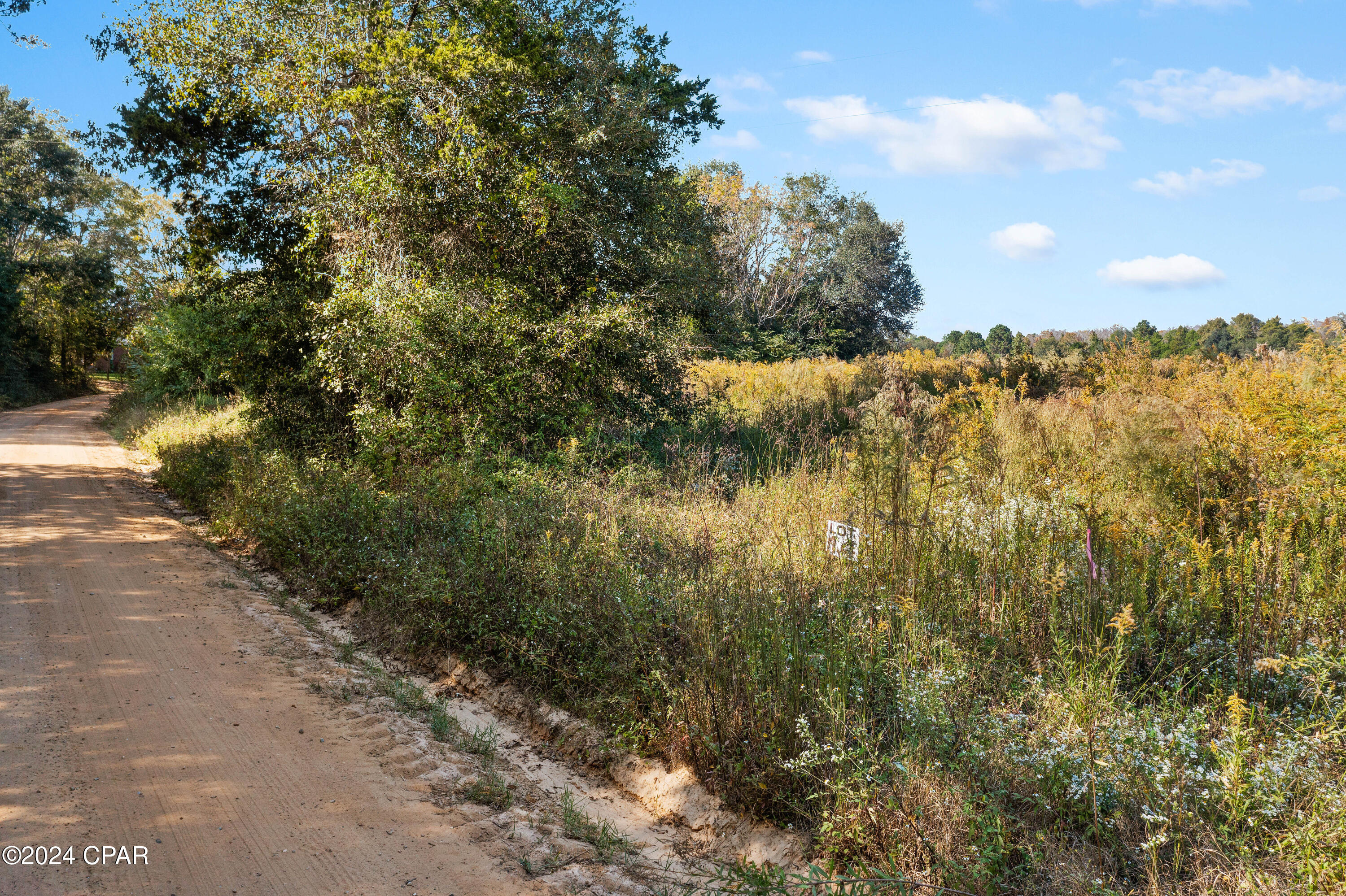 Lot 14 Creek Road, Bonifay, Florida image 3