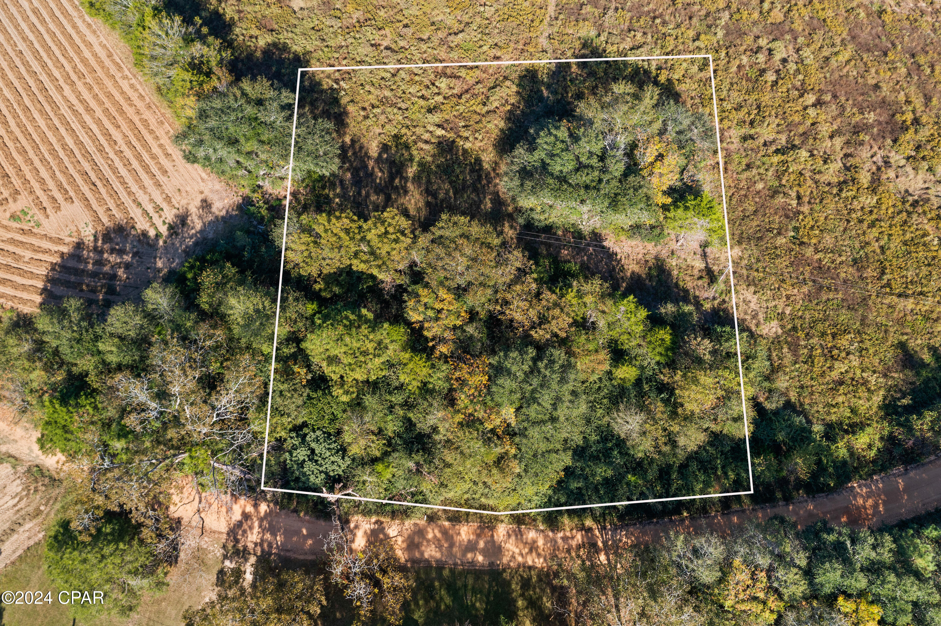 XXX Leamon Smith Road, Bonifay, Florida image 10