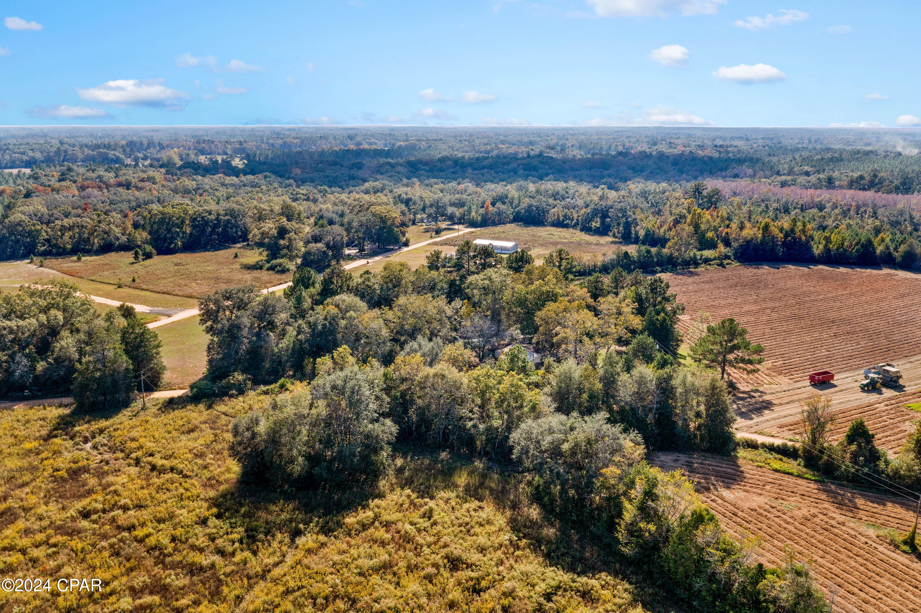XXX Leamon Smith Road, Bonifay, Florida image 6