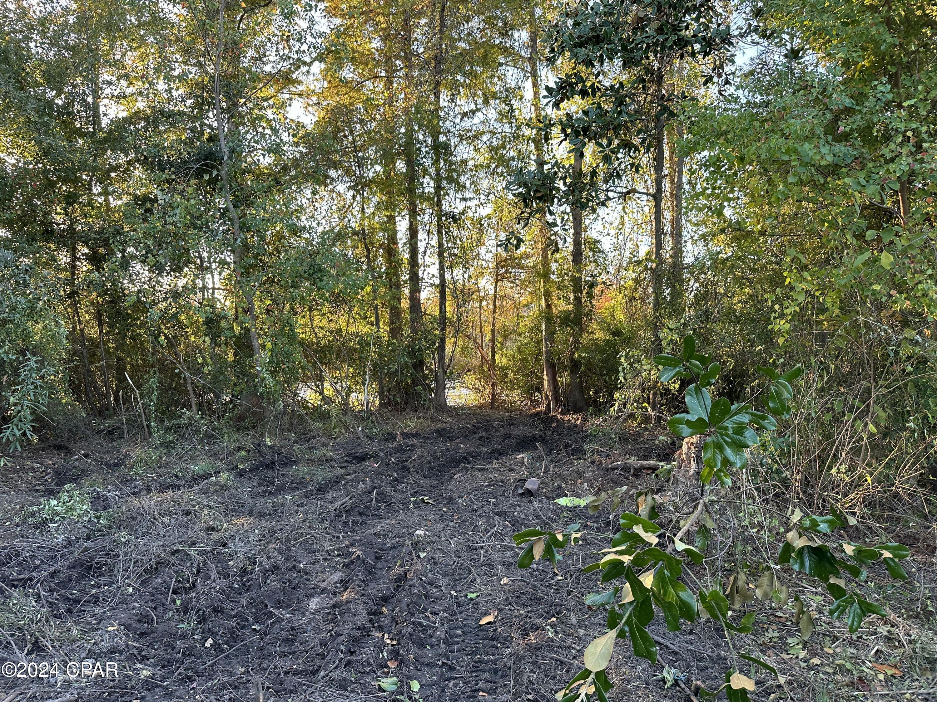 Image 4 For 9209 Lake Forest Drive