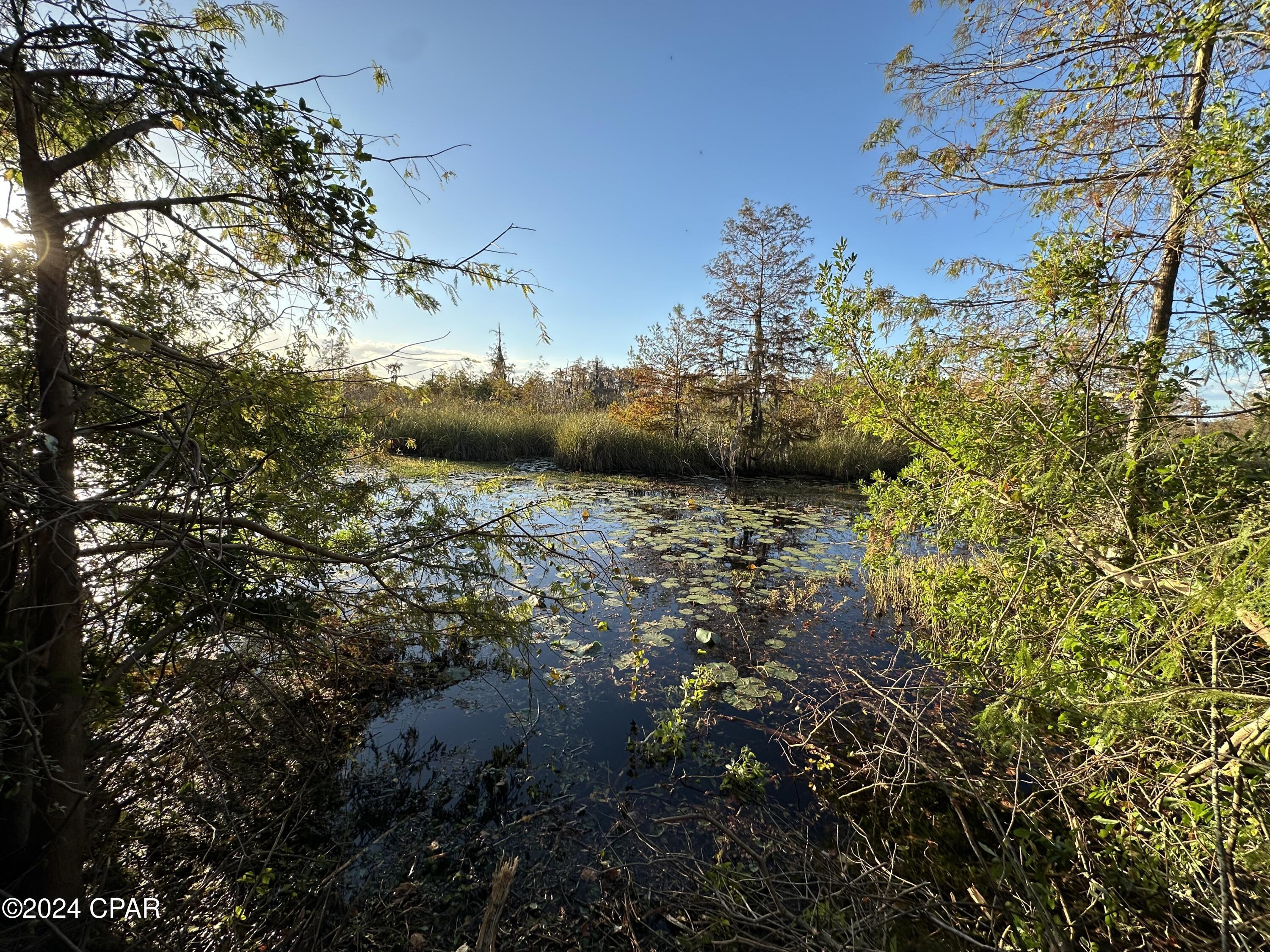 Image 6 For 9209 Lake Forest Drive