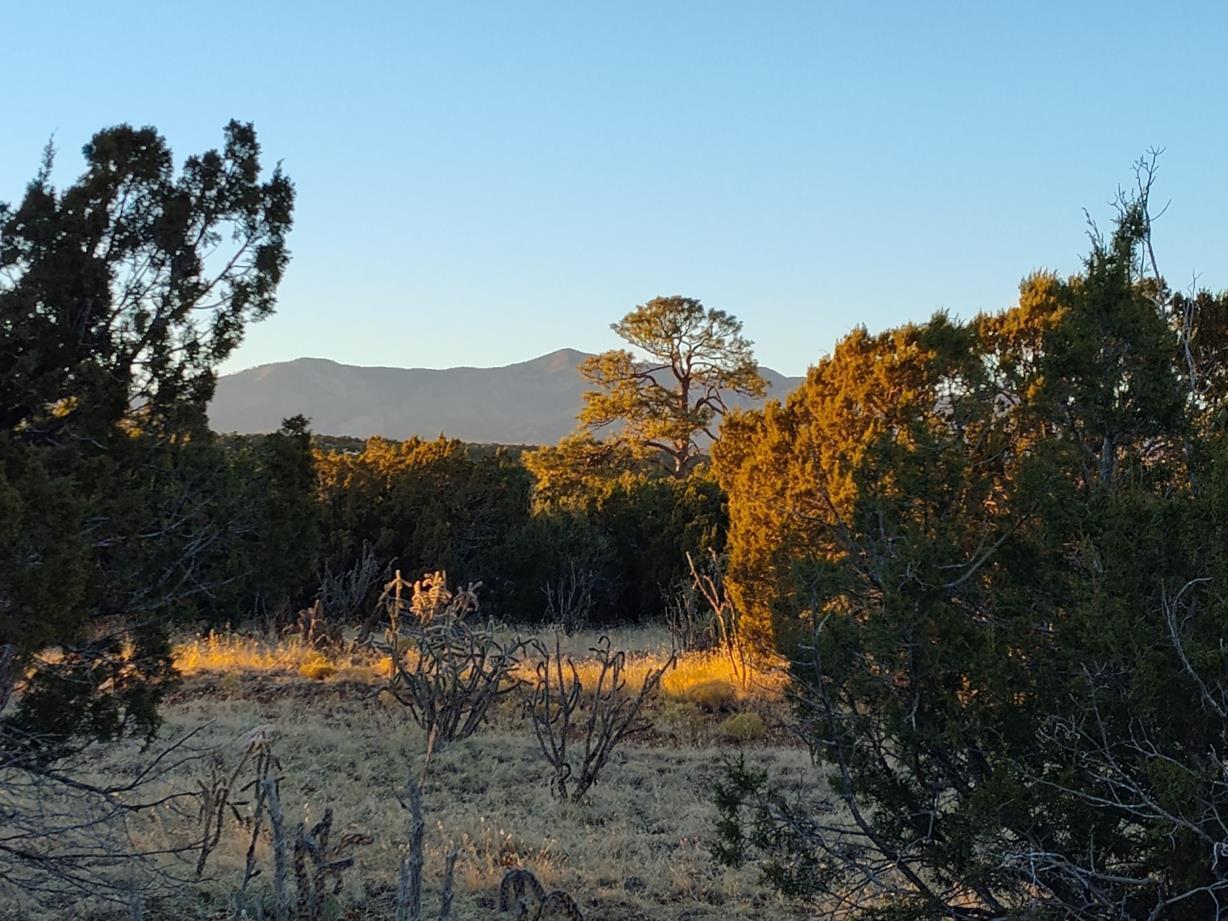 Road Runner Road Mountainair, NM 87036
