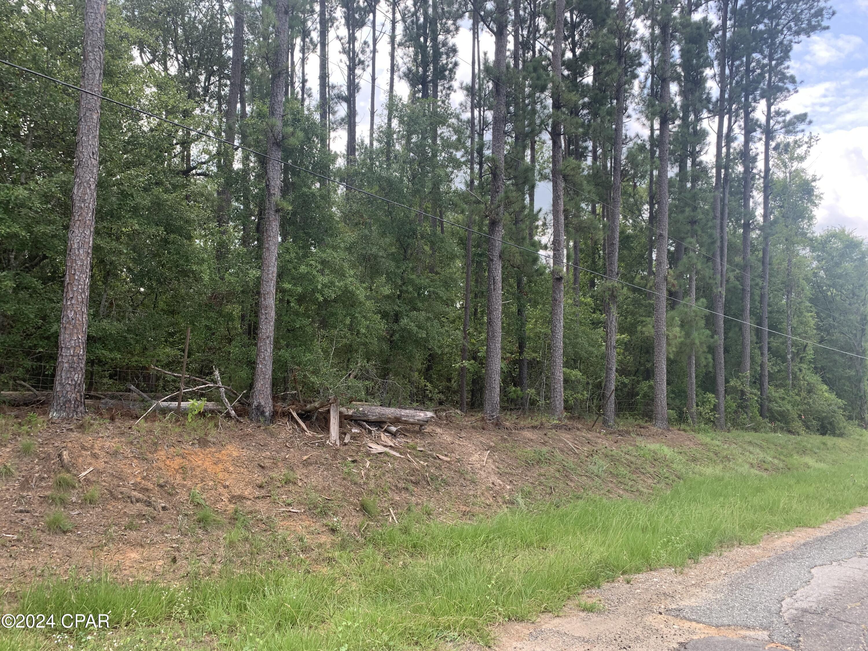 Image 5 For 00 U. S. Highway 90