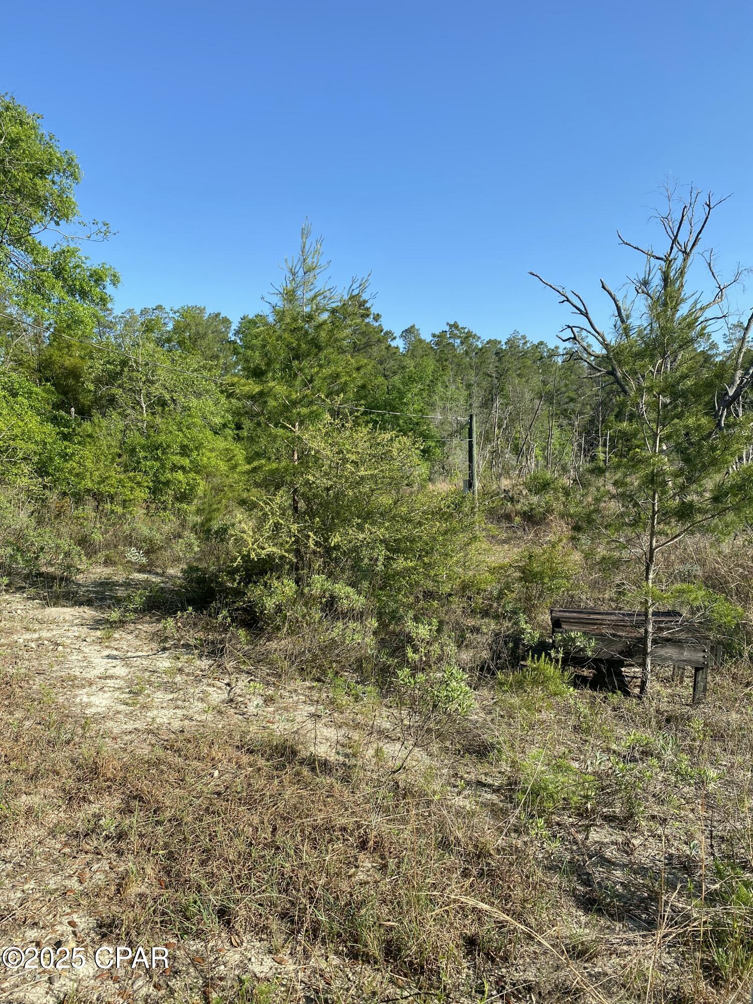 Image 3 For 6405 Fl-77  