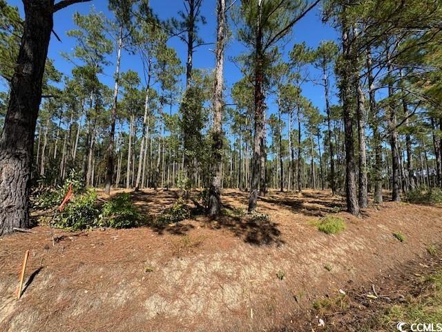 TBD Salem Rd. Aynor, SC 29511