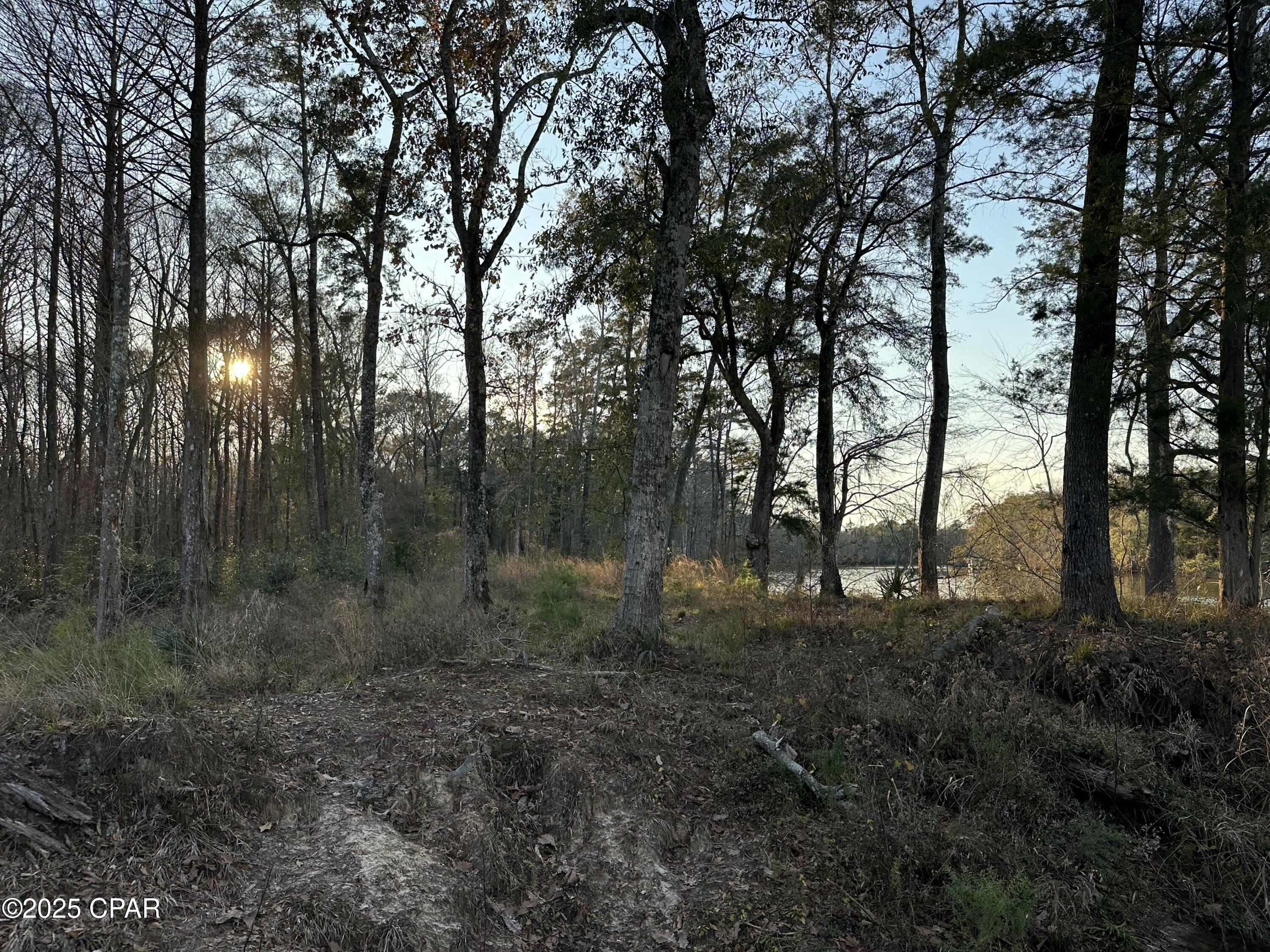 Image 13 For 0000 Strickland Road
