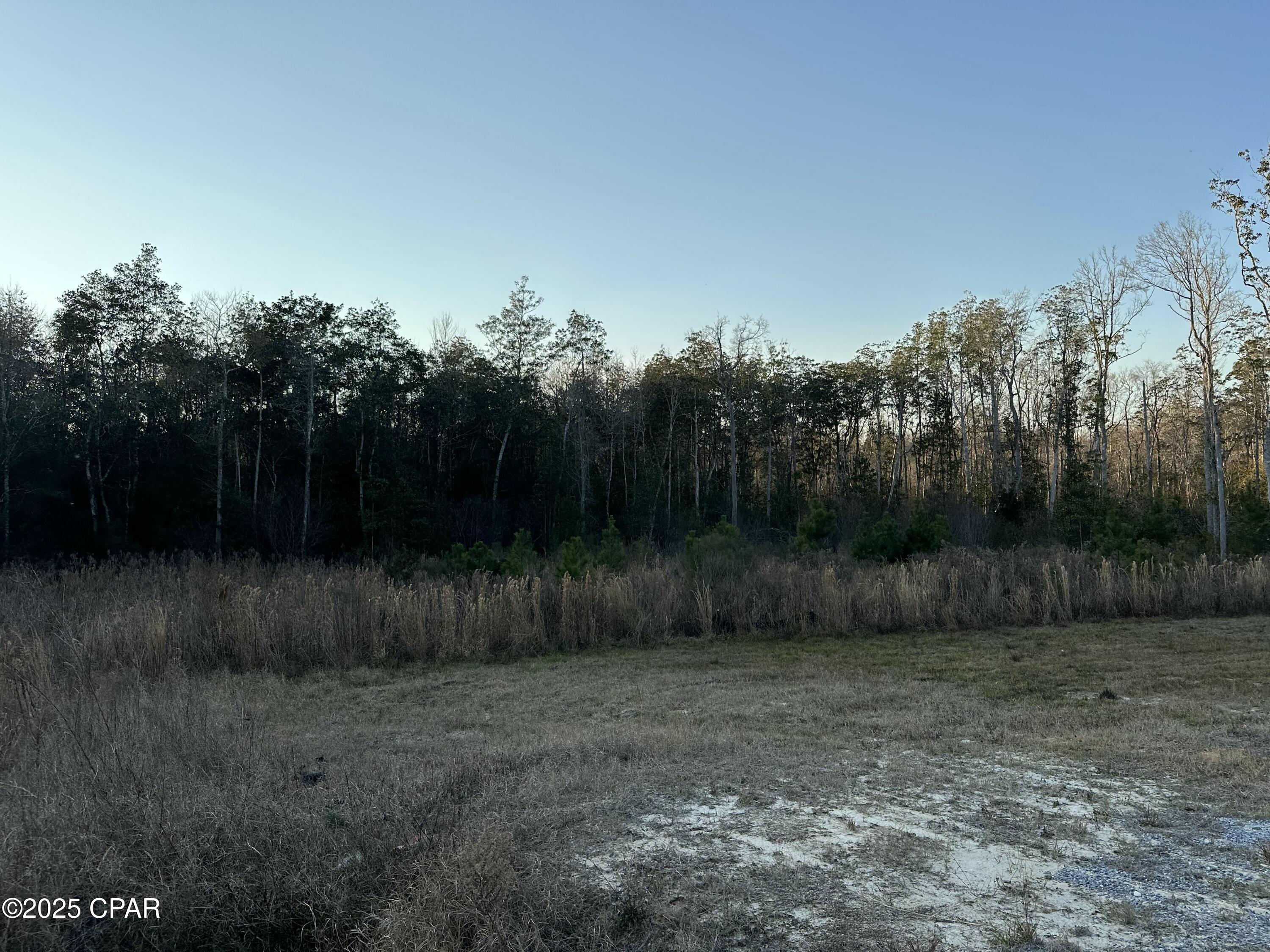 Image 15 For 0000 Strickland Road