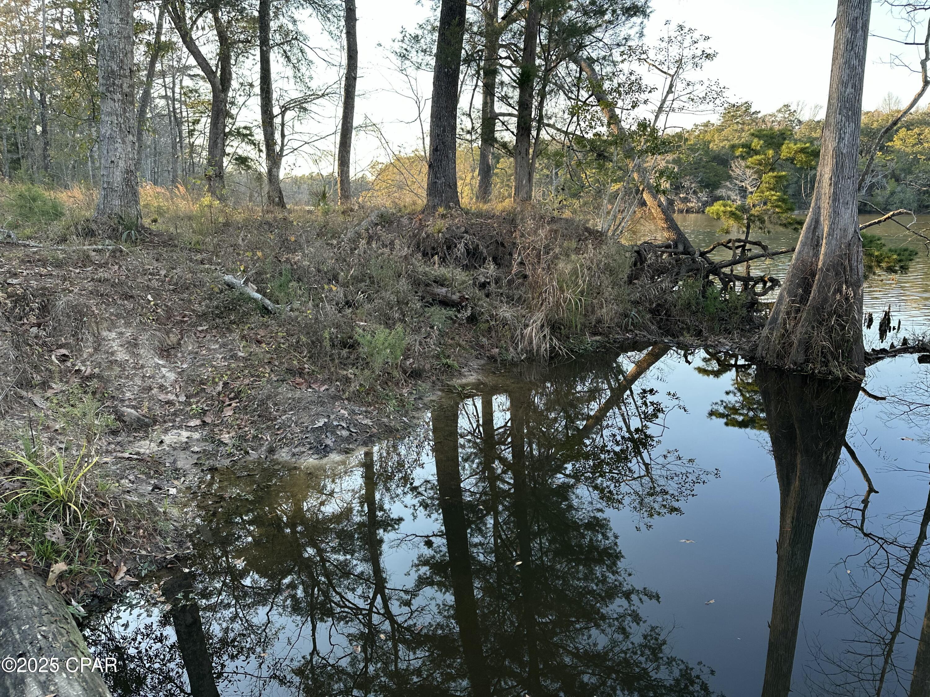 Image 17 For 0000 Strickland Road