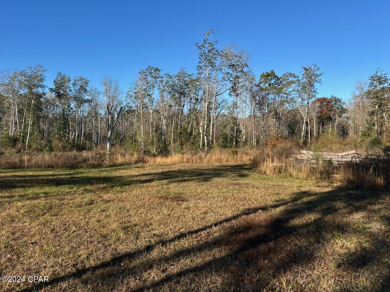 Image 8 For 0000 Strickland Road