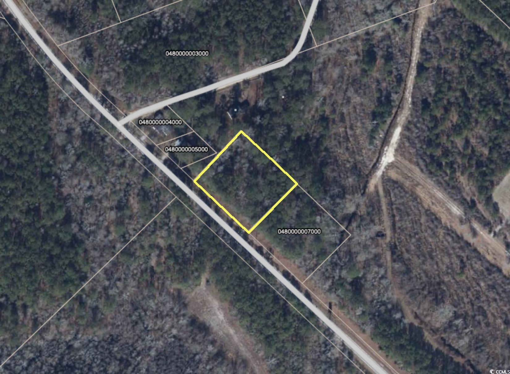 TBD Pee Dee Island Rd. Mullins, SC 29574
