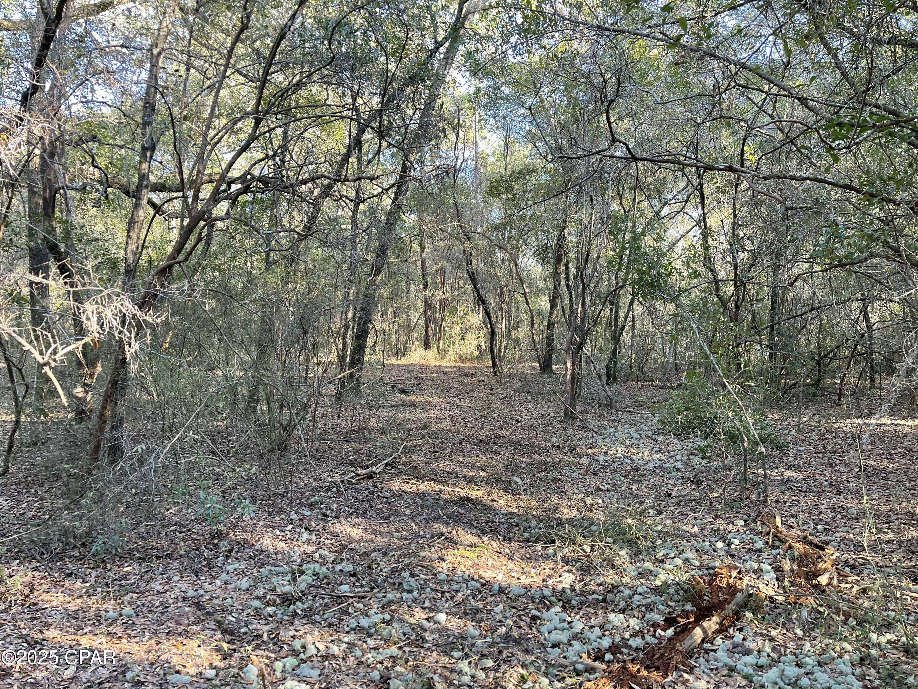 Image 18 For 0000 Bent Oaks Road