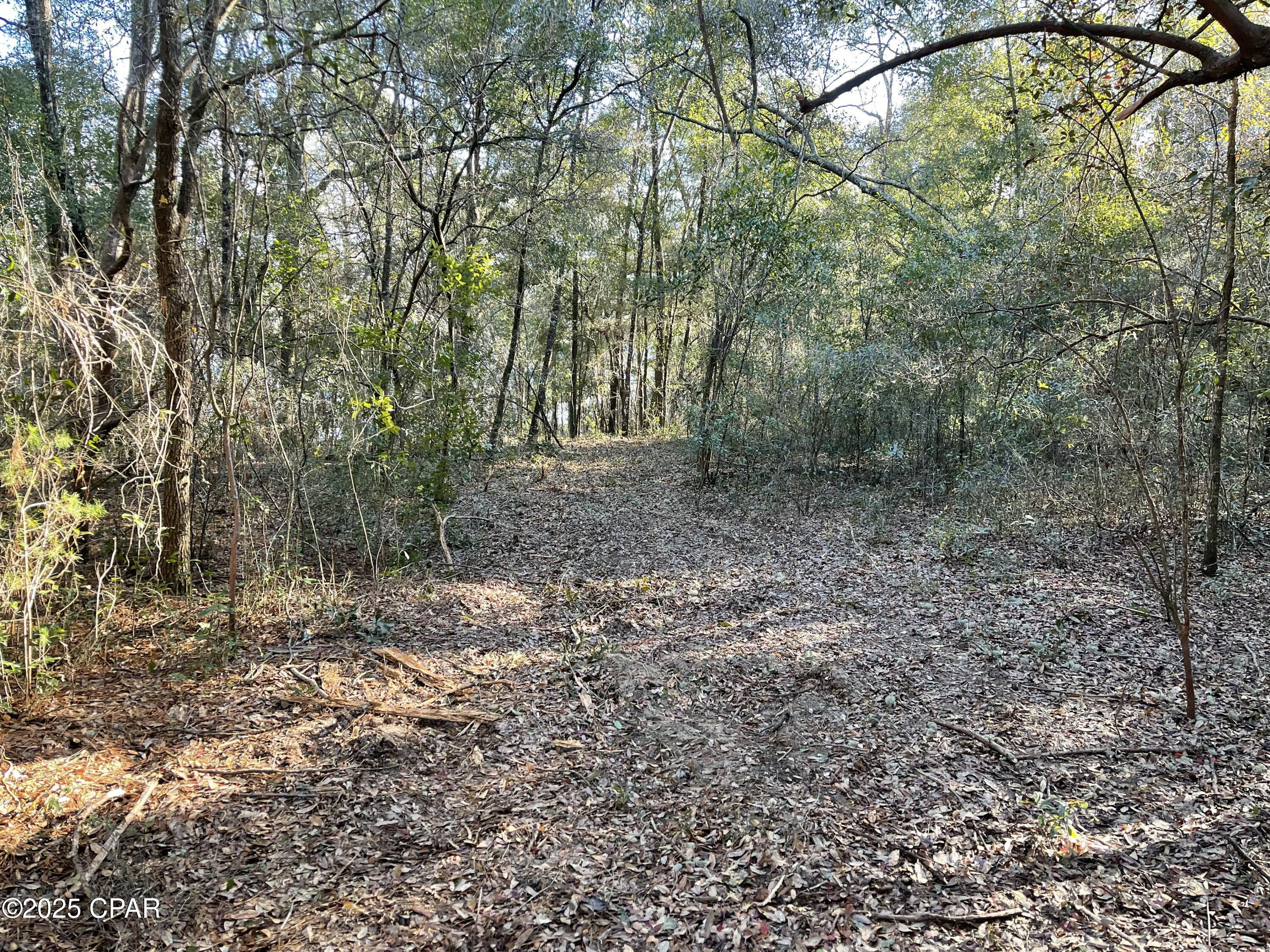 Image 19 For 0000 Bent Oaks Road