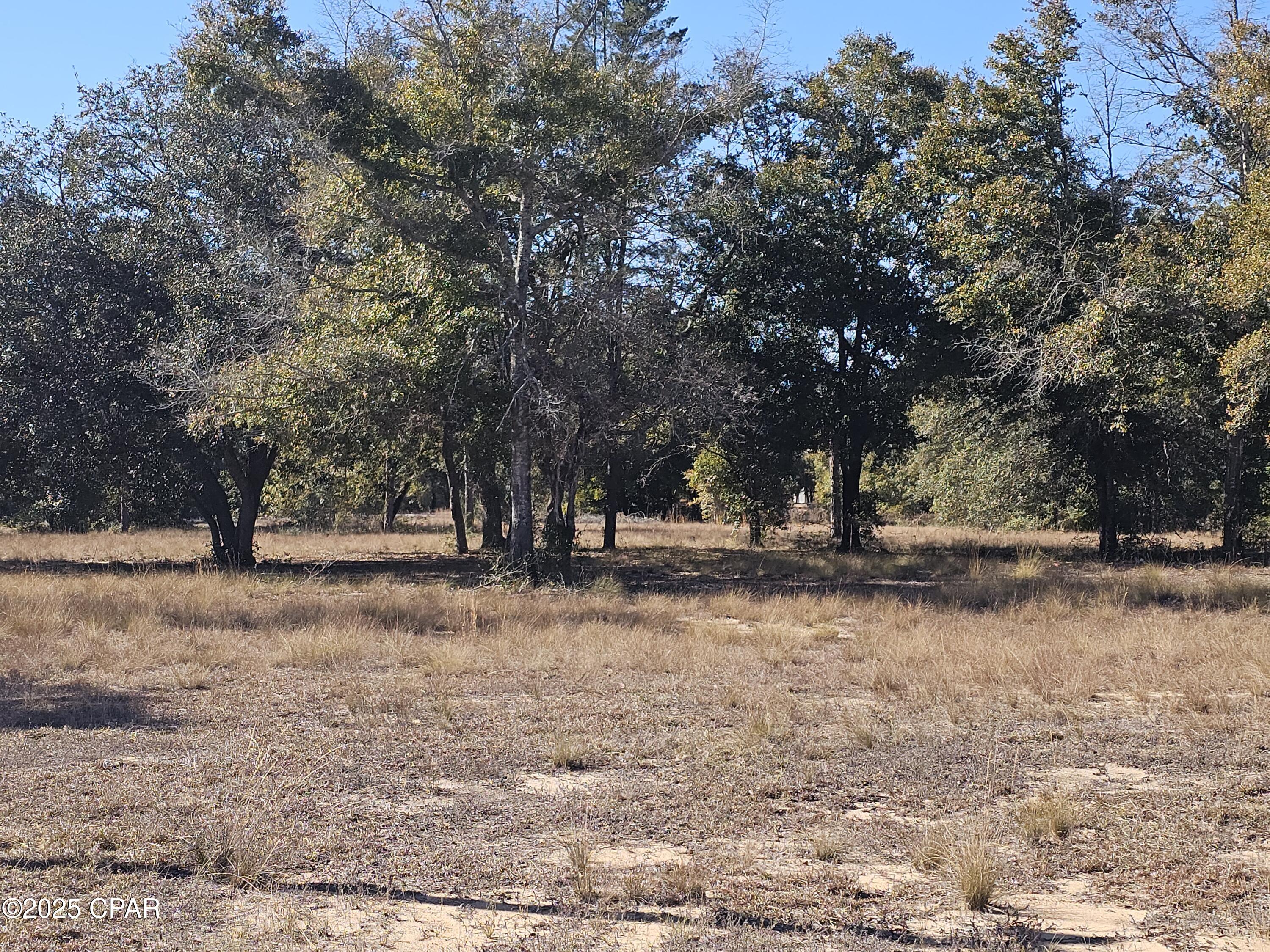Image 3 For 4135 Pine Log Road