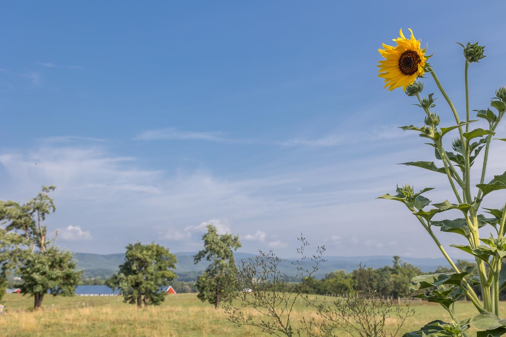 1003 Natural Chimneys Rd