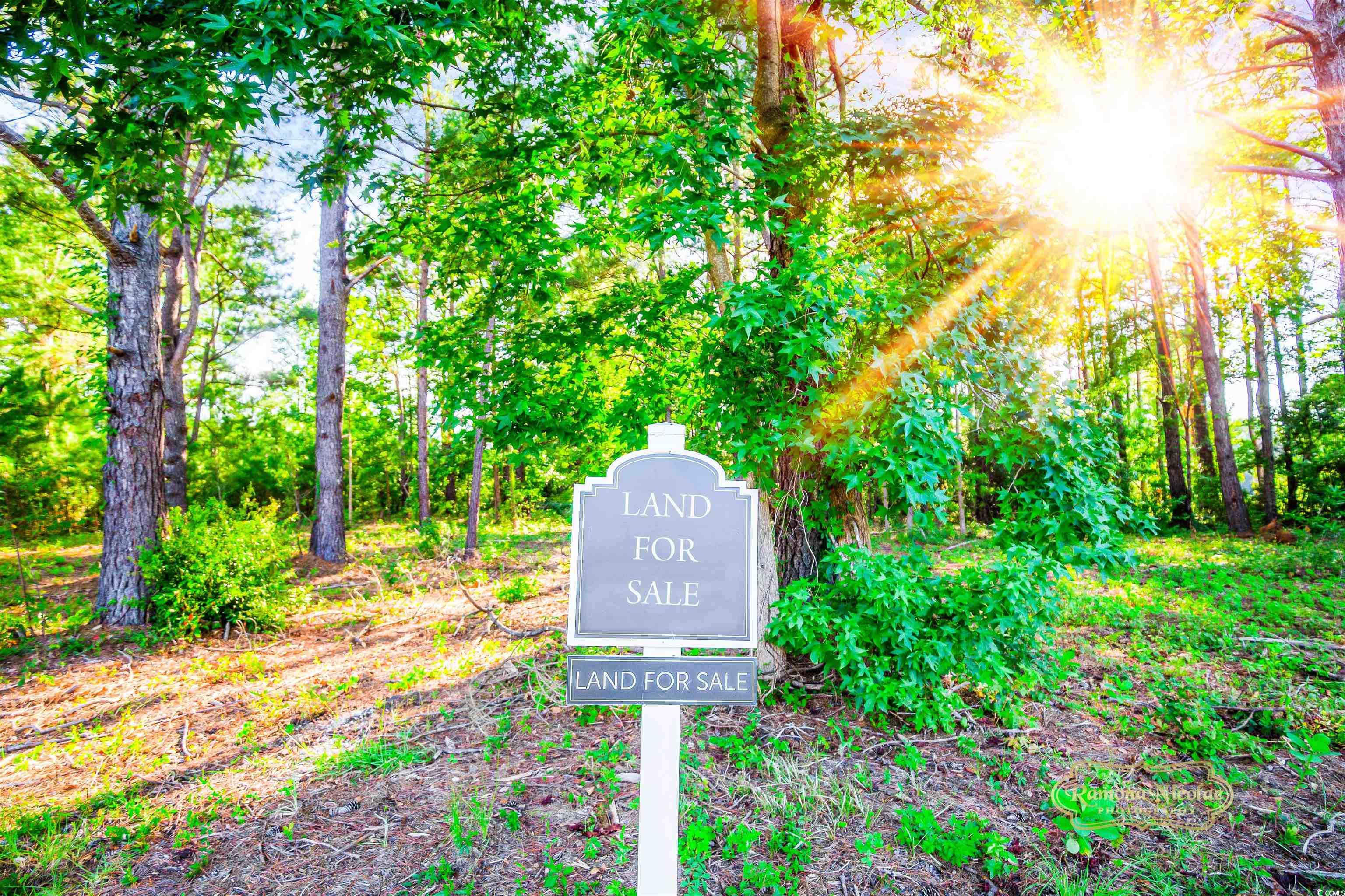 1009 Happy Ln. Galivants Ferry, SC 29544