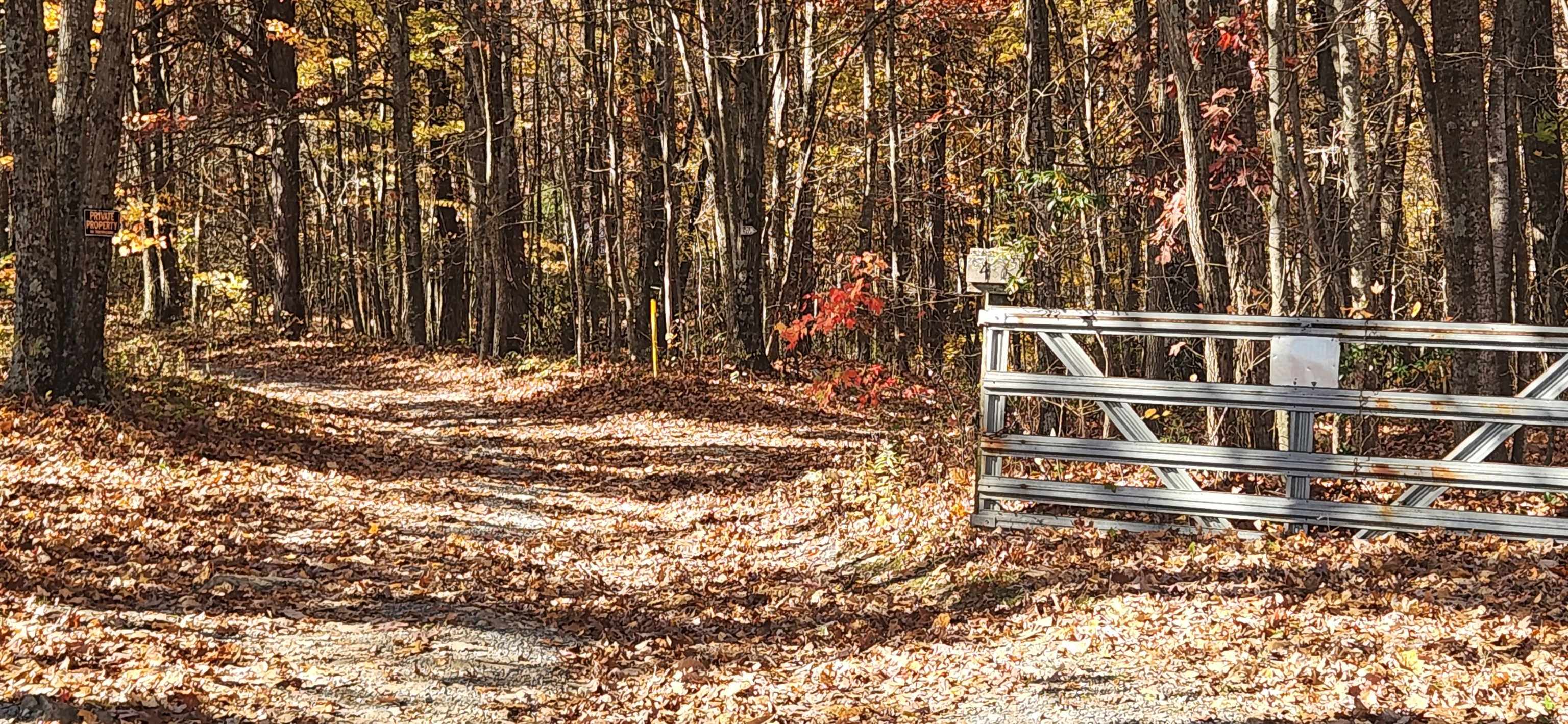 46 & 58 Howdyshell Ln