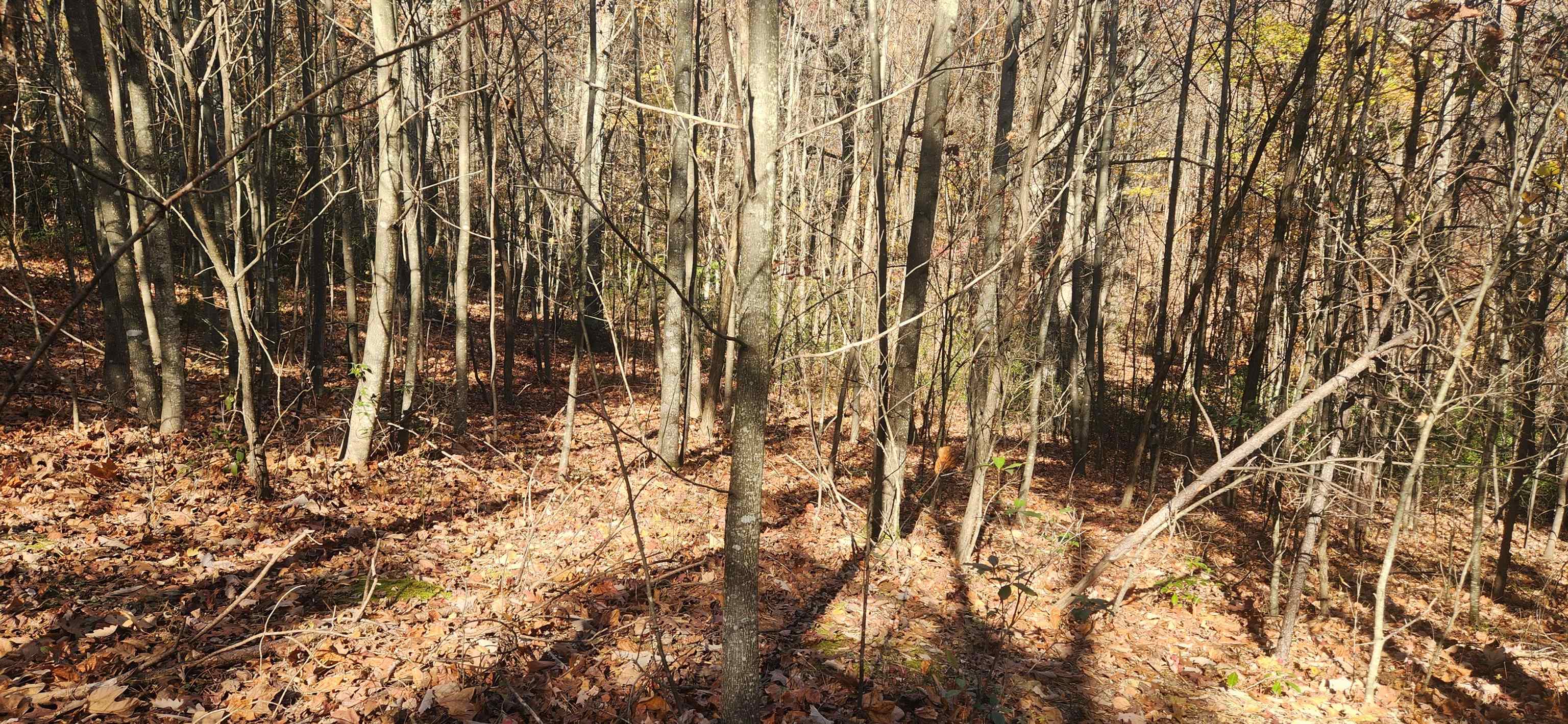 46 & 58 Howdyshell Ln