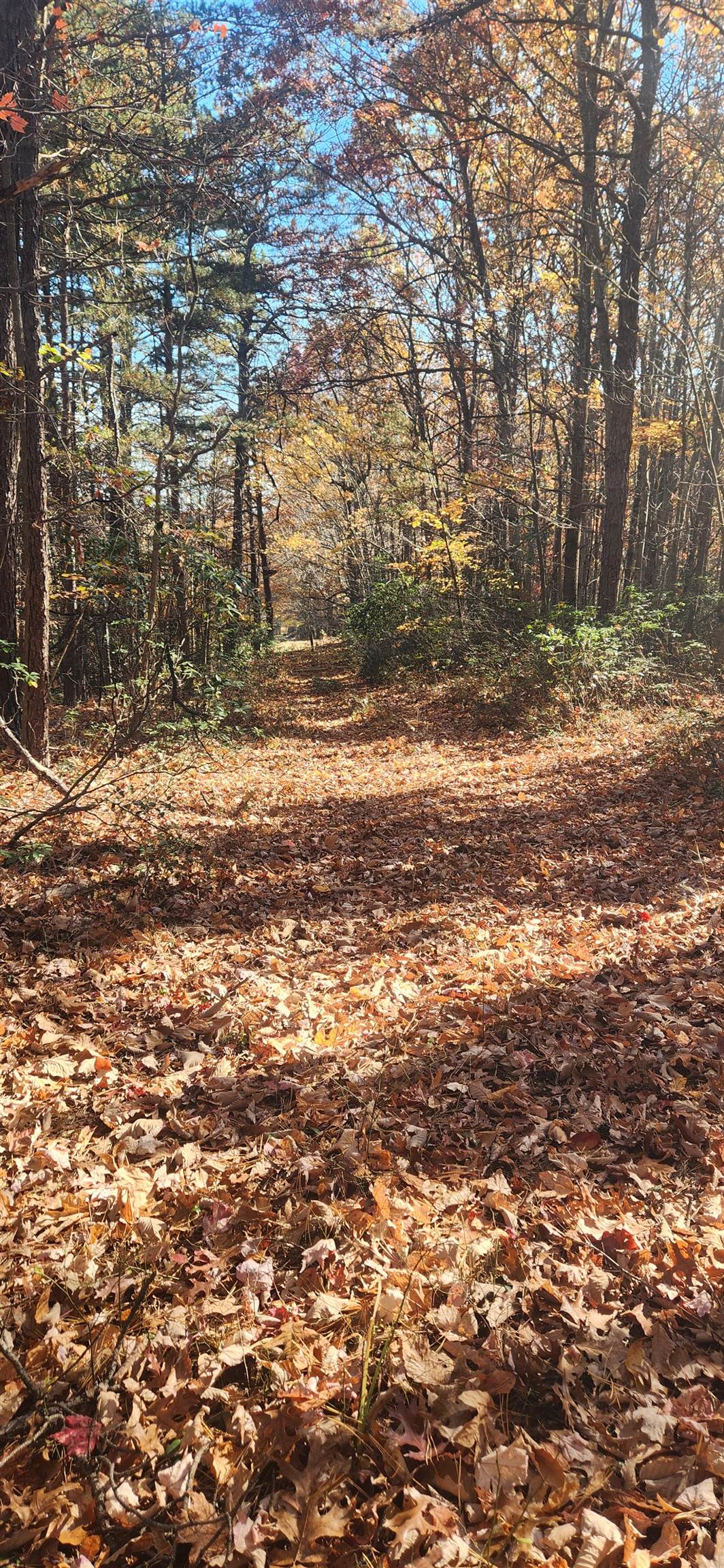 46 & 58 Howdyshell Ln