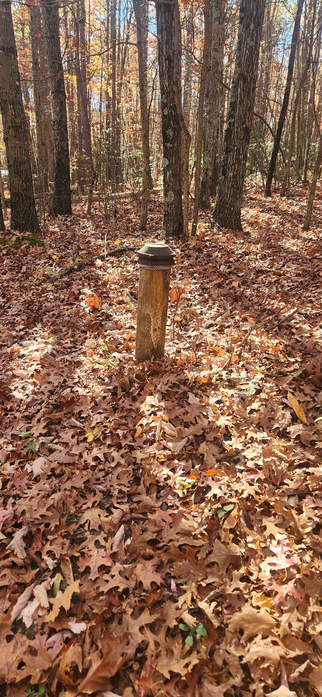 46 & 58 Howdyshell Ln