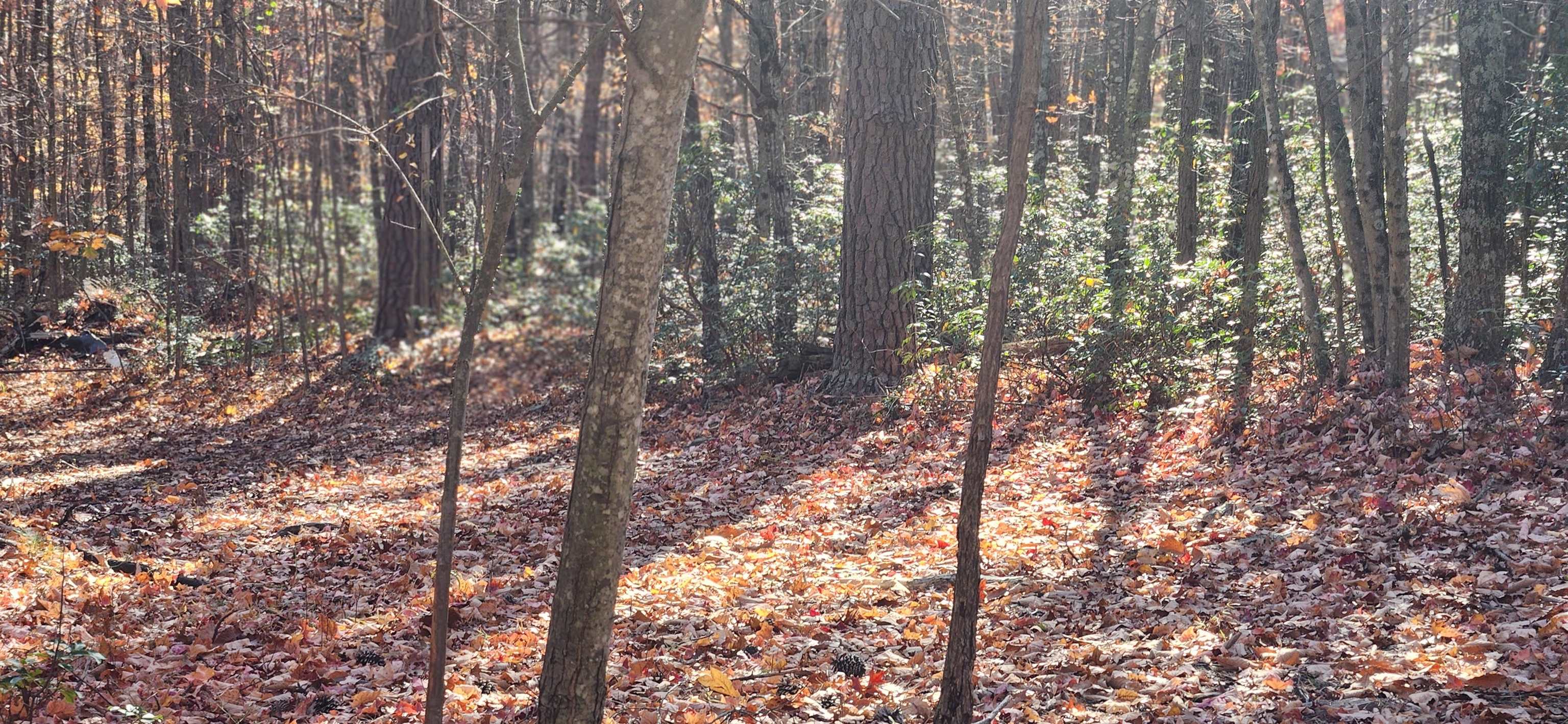 46 & 58 Howdyshell Ln